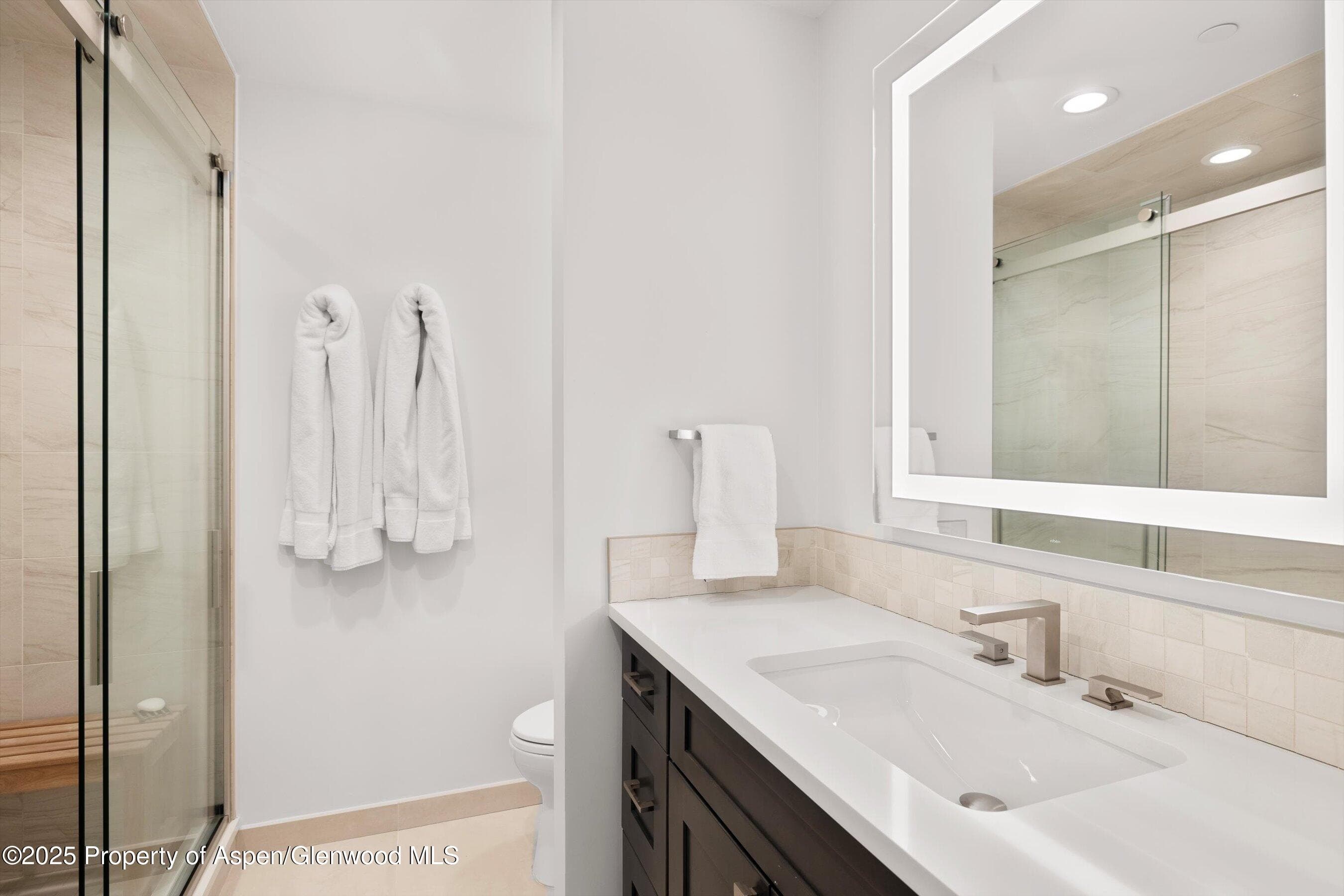 55 Smuggler Grove Road, Aspen, CO 81611 - Photo 41