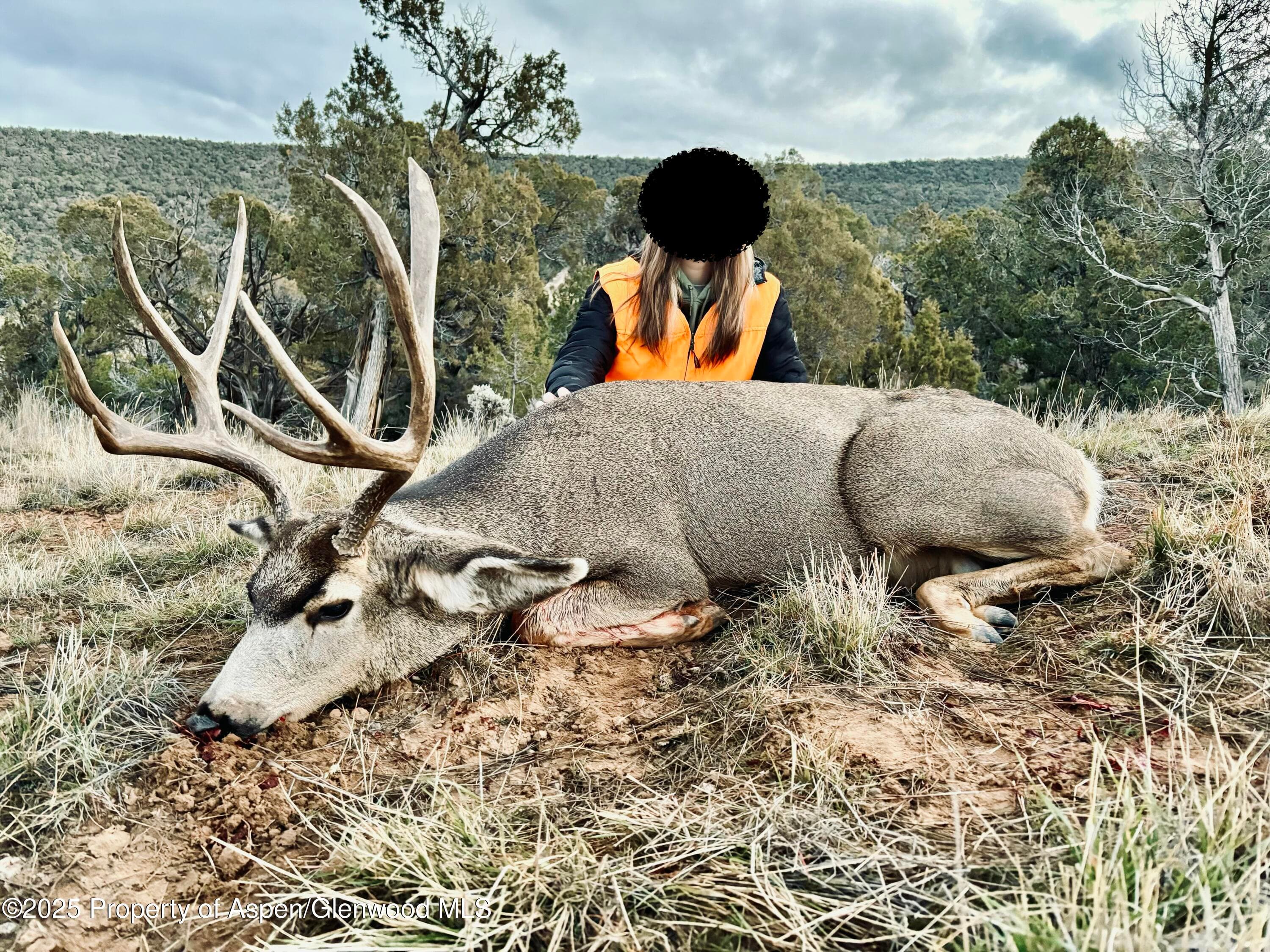 10444 County Road 320, Rifle, CO 81650 - Photo 10