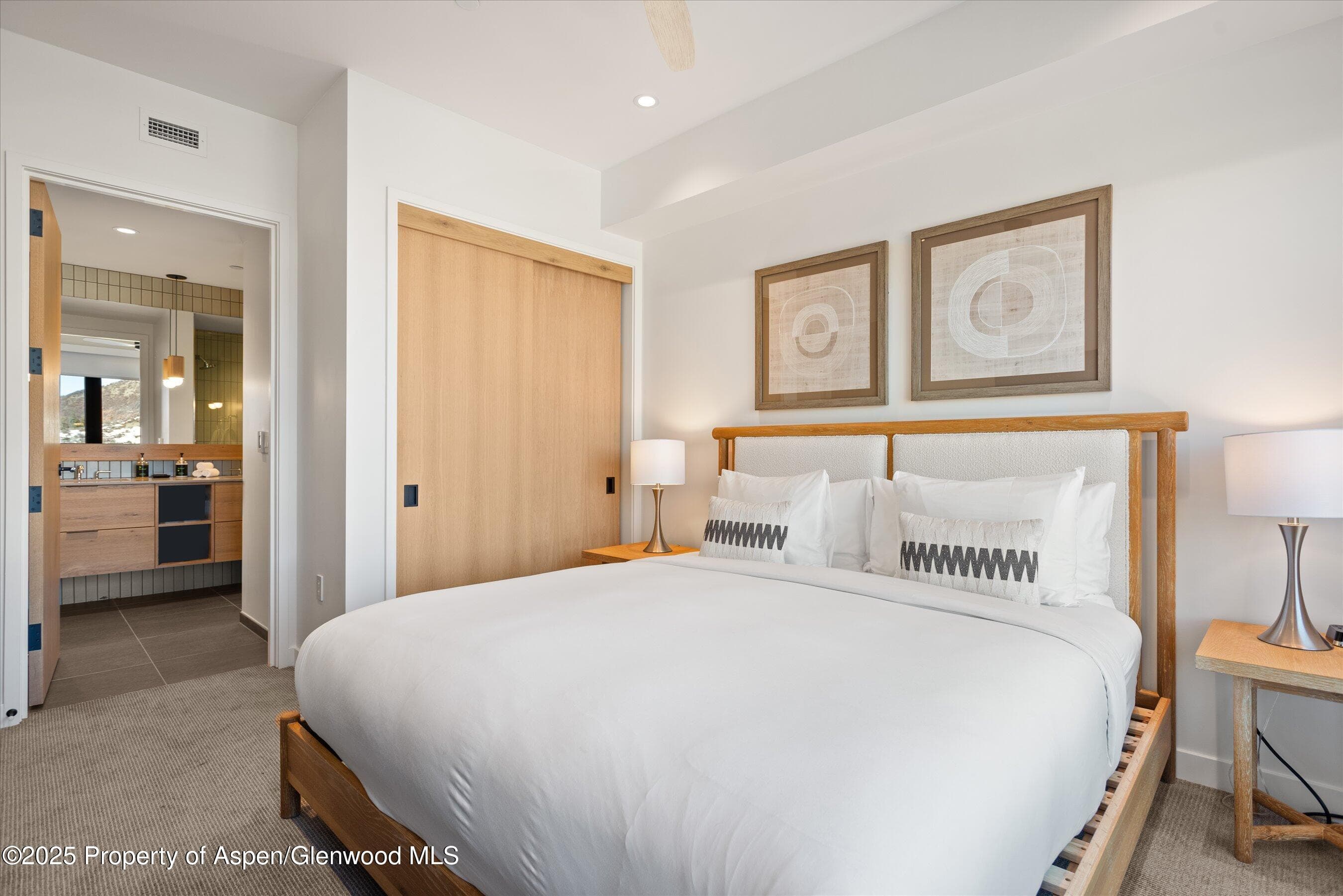 119 Wood Road 206, Snowmass Village, CO 81615 - Photo 9