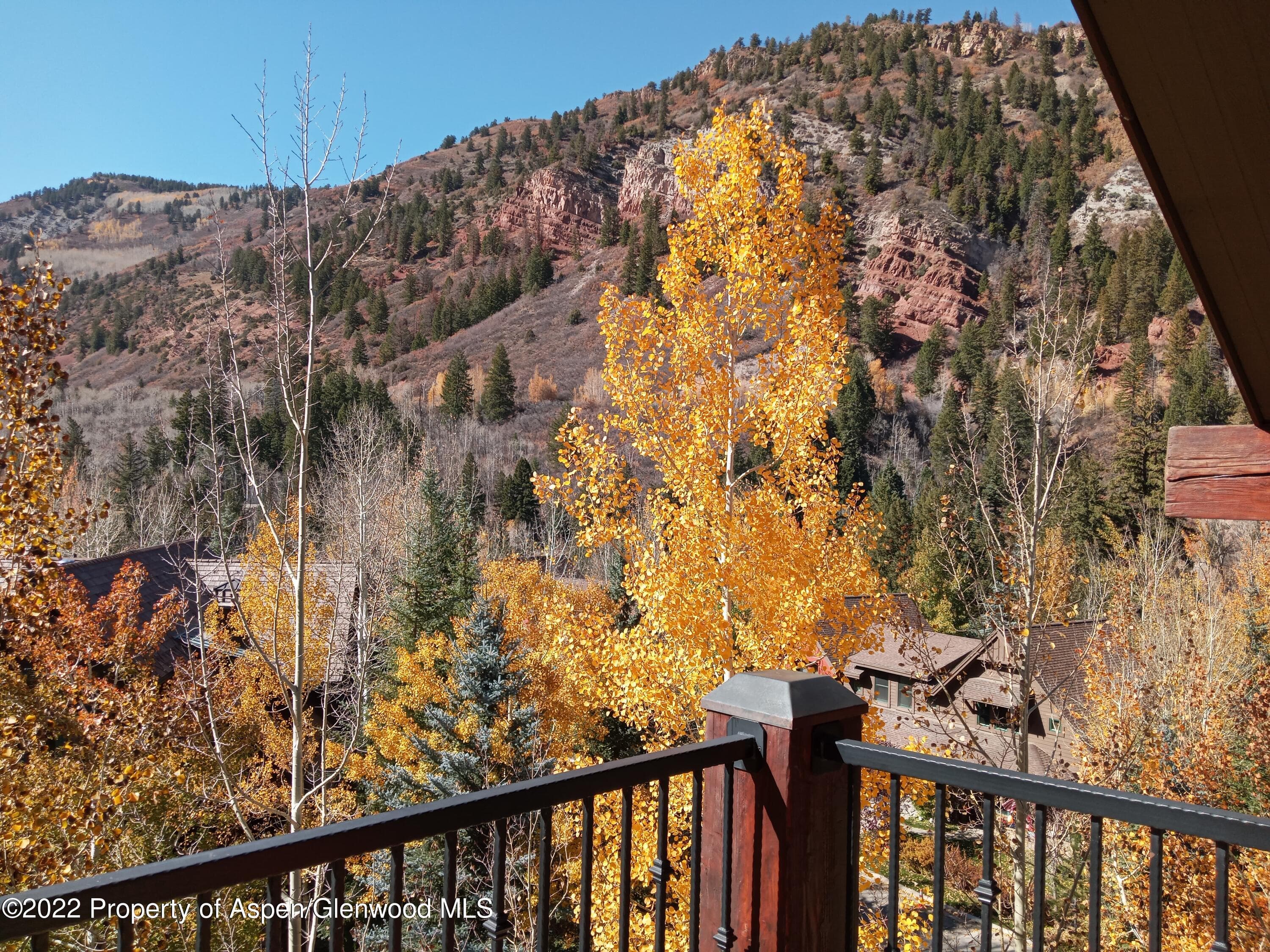 0039 Boomerang Road Unit 8315 Winter Interest 3, Aspen, CO 81611 - Photo 28