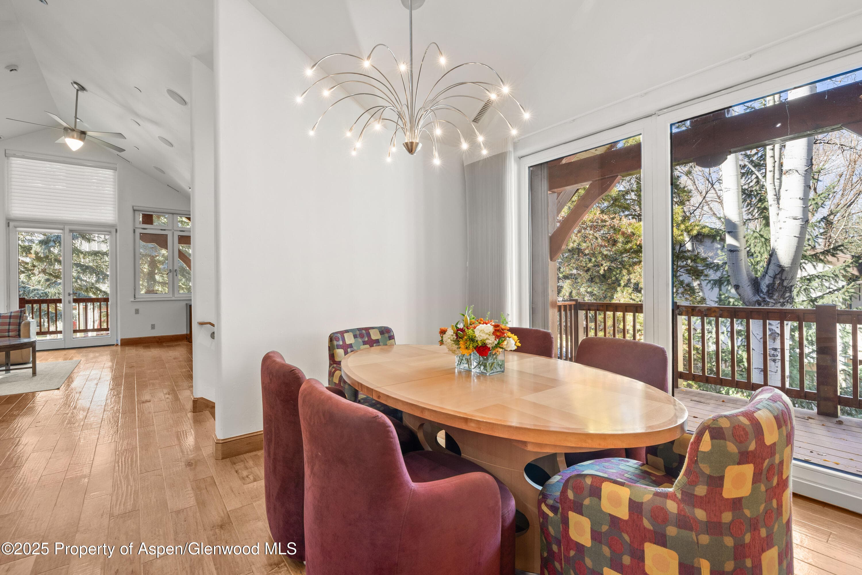 824 Bonita Drive, Aspen, CO 81611 - Photo 8