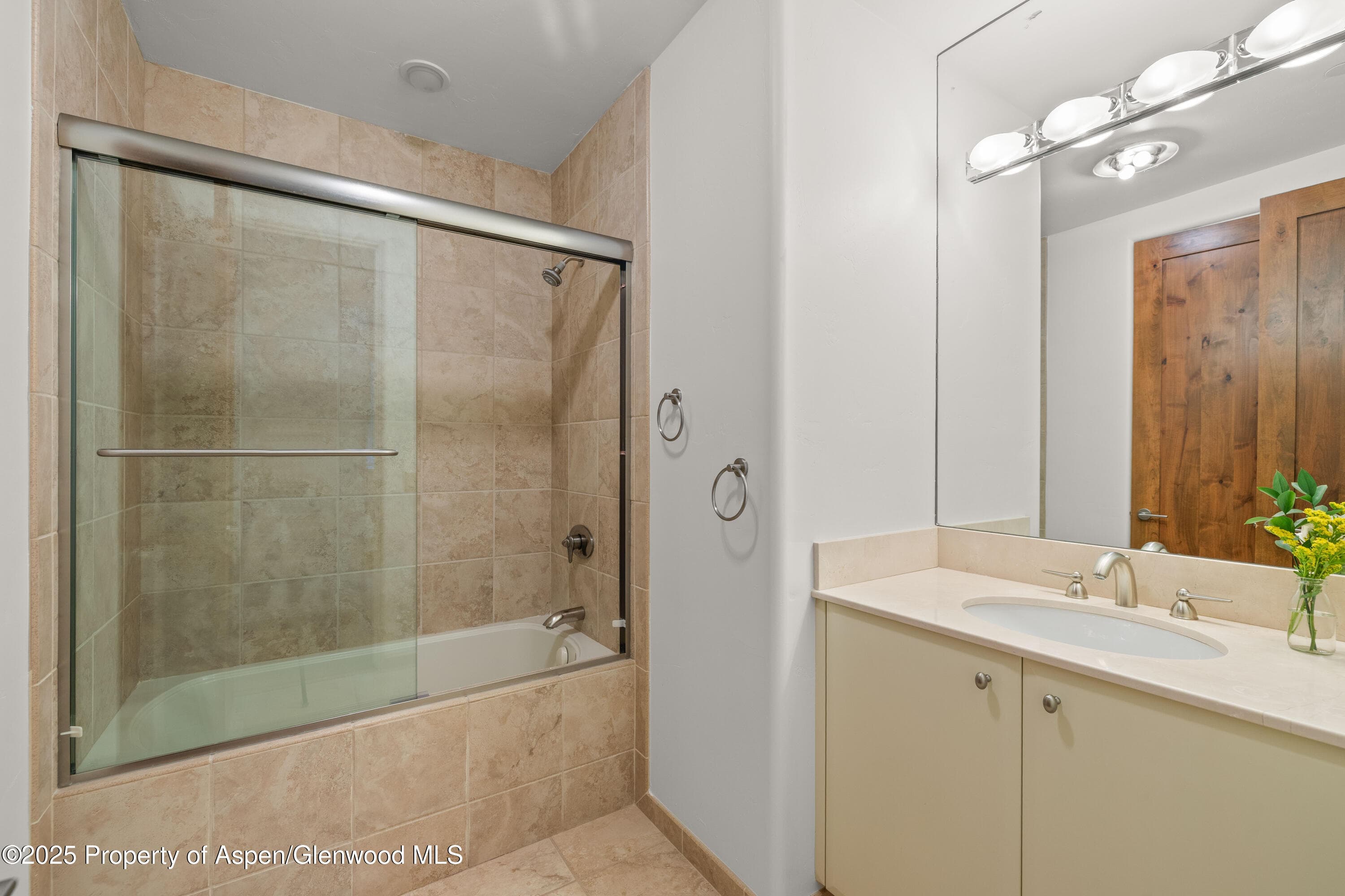 824 Bonita Drive, Aspen, CO 81611 - Photo 24