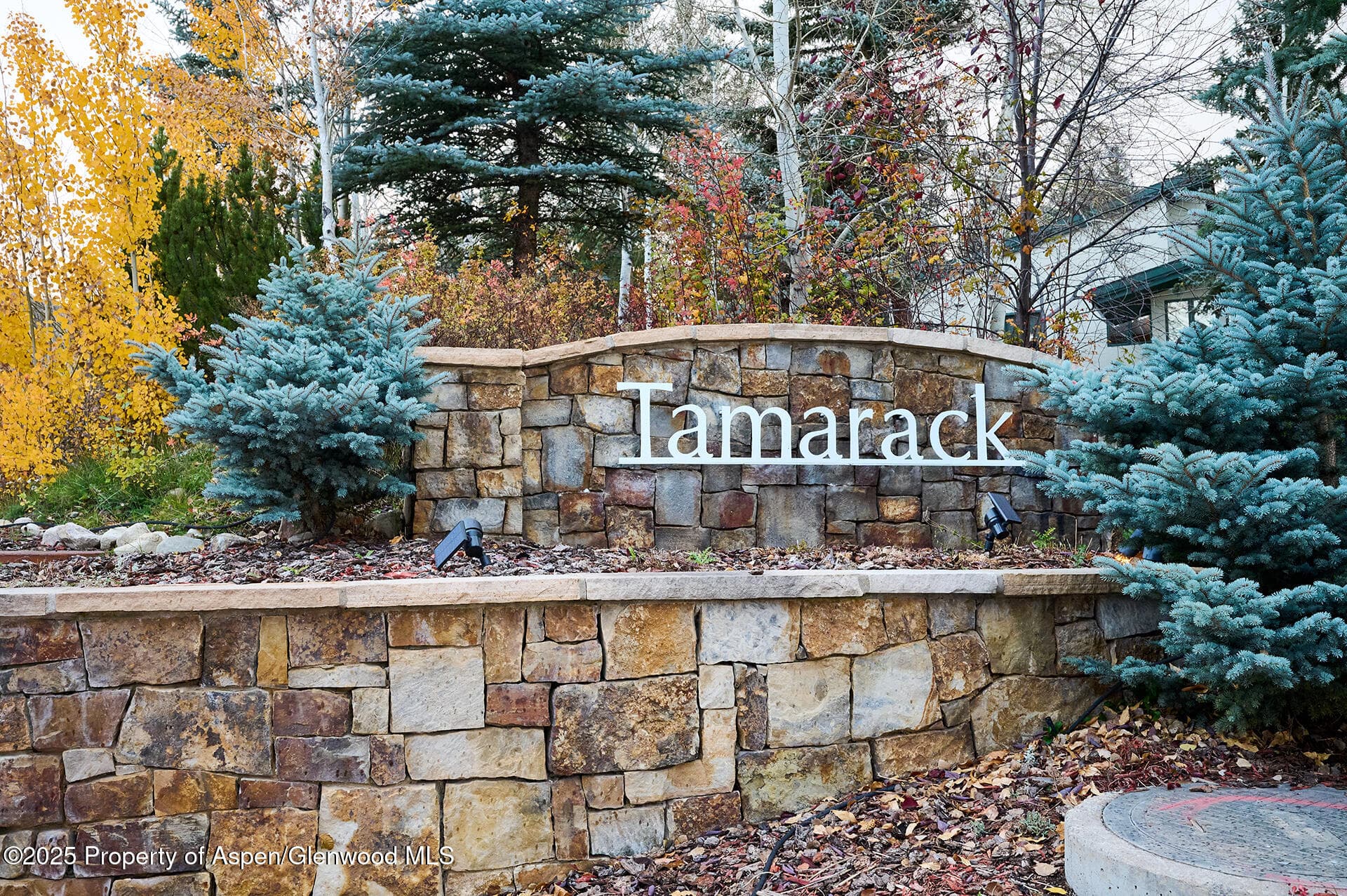 135 Carriage Way 26, Snowmass Village, CO 81615 - Photo 18