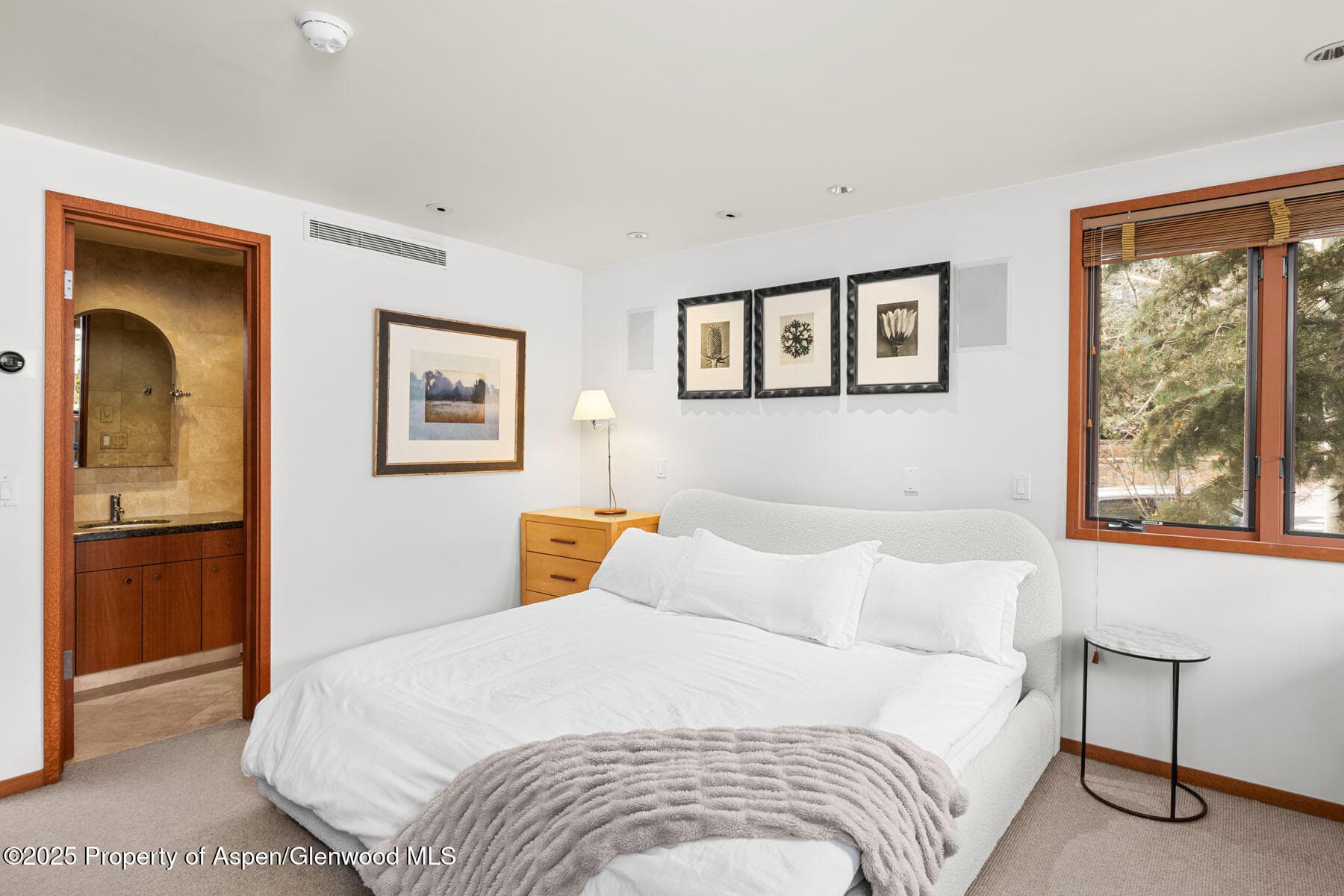135 Carriage Way 26, Snowmass Village, CO 81615 - Photo 12