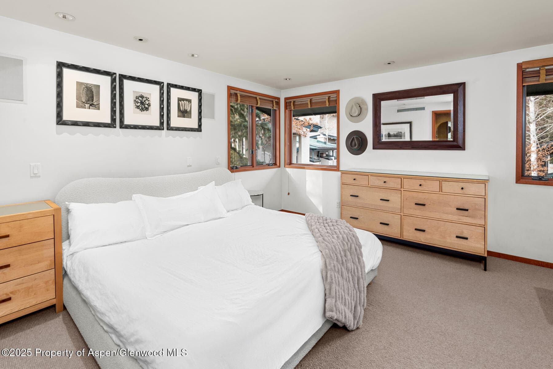 135 Carriage Way 26, Snowmass Village, CO 81615 - Photo 10