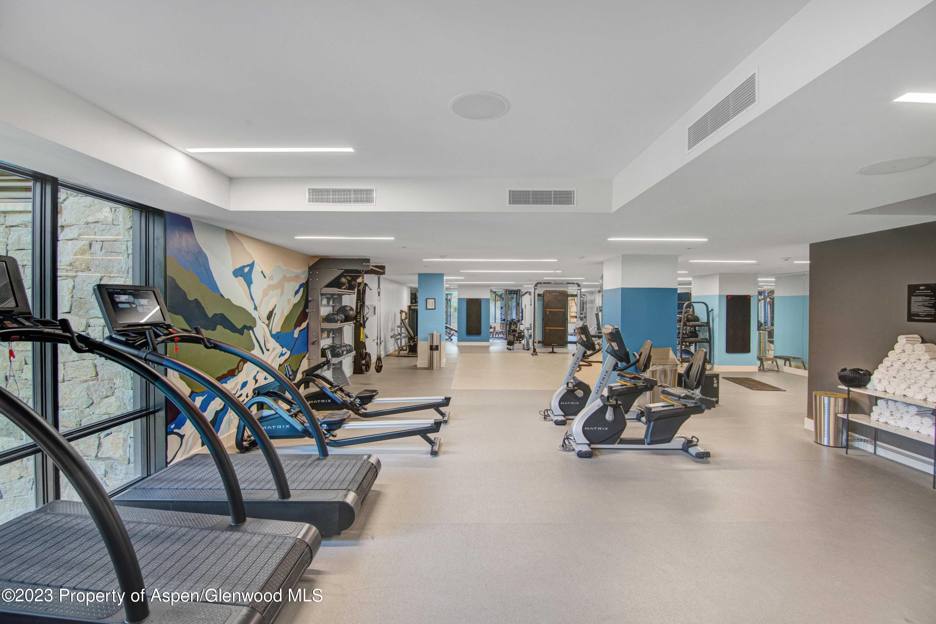 119 Wood Road 107, Snowmass Village, CO 81615 - Photo 41