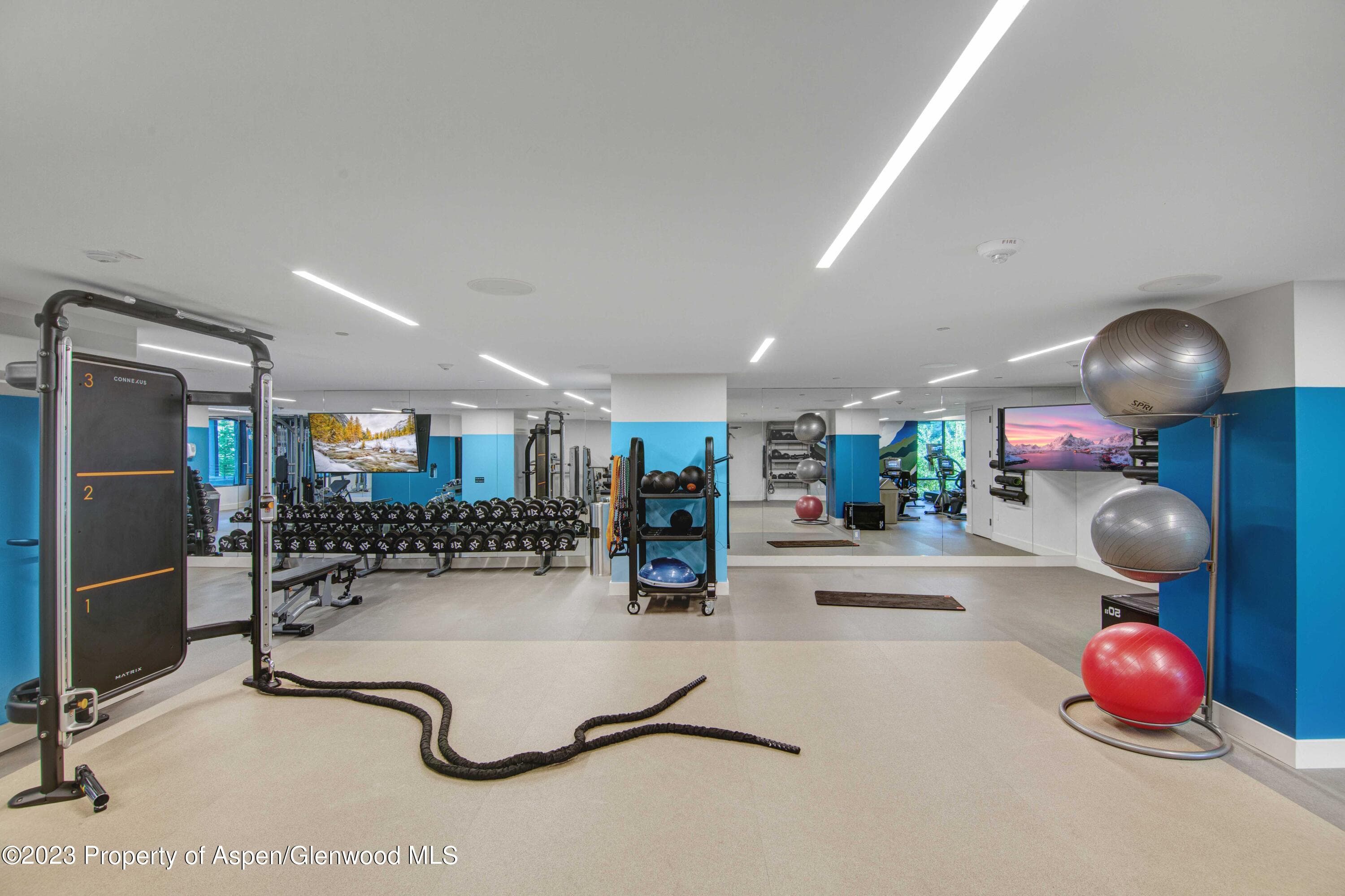 119 Wood Road 107, Snowmass Village, CO 81615 - Photo 44