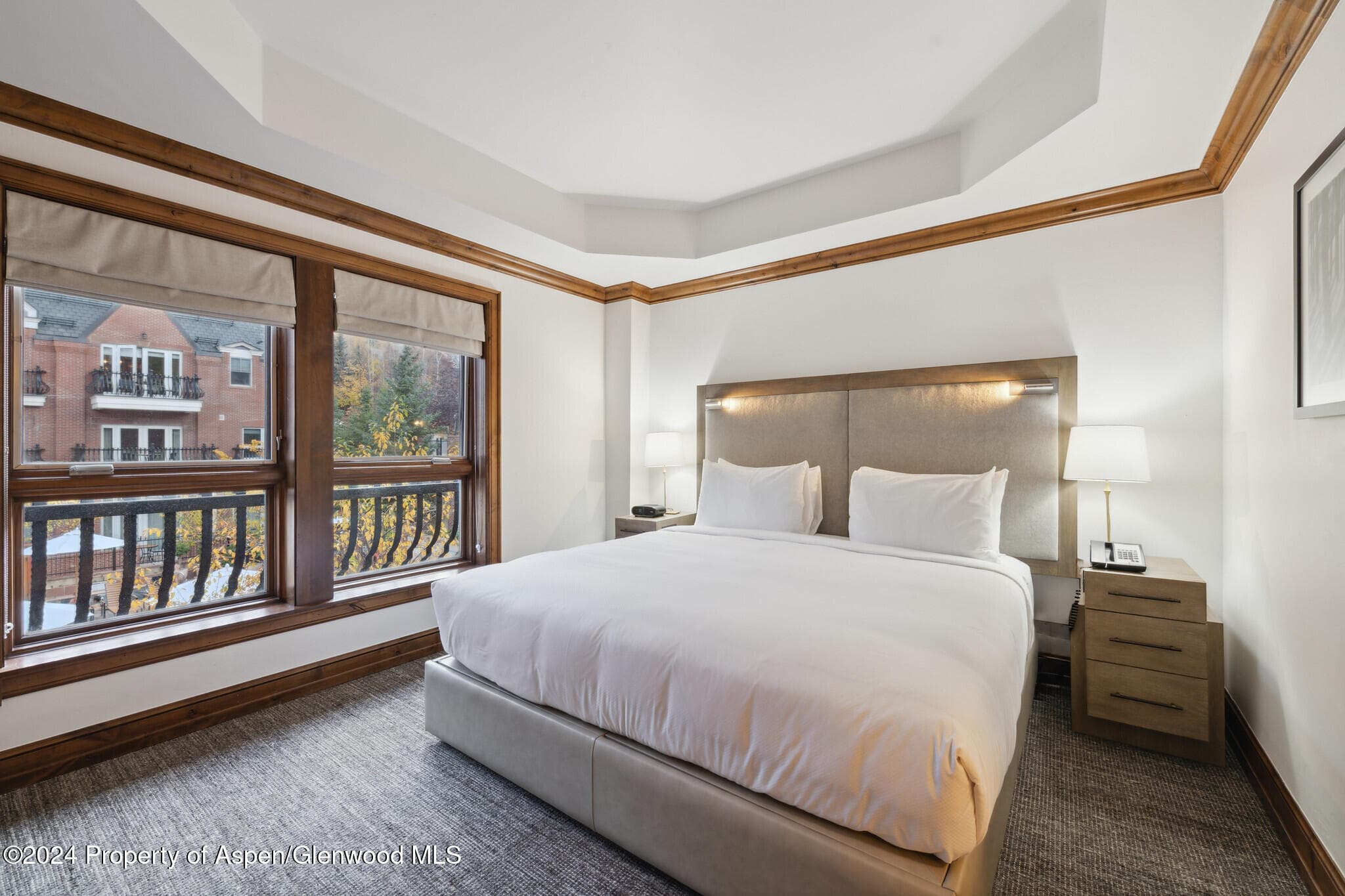 415 E Dean St., Unit 10, Week 30, Aspen, CO 81611 - Photo 8