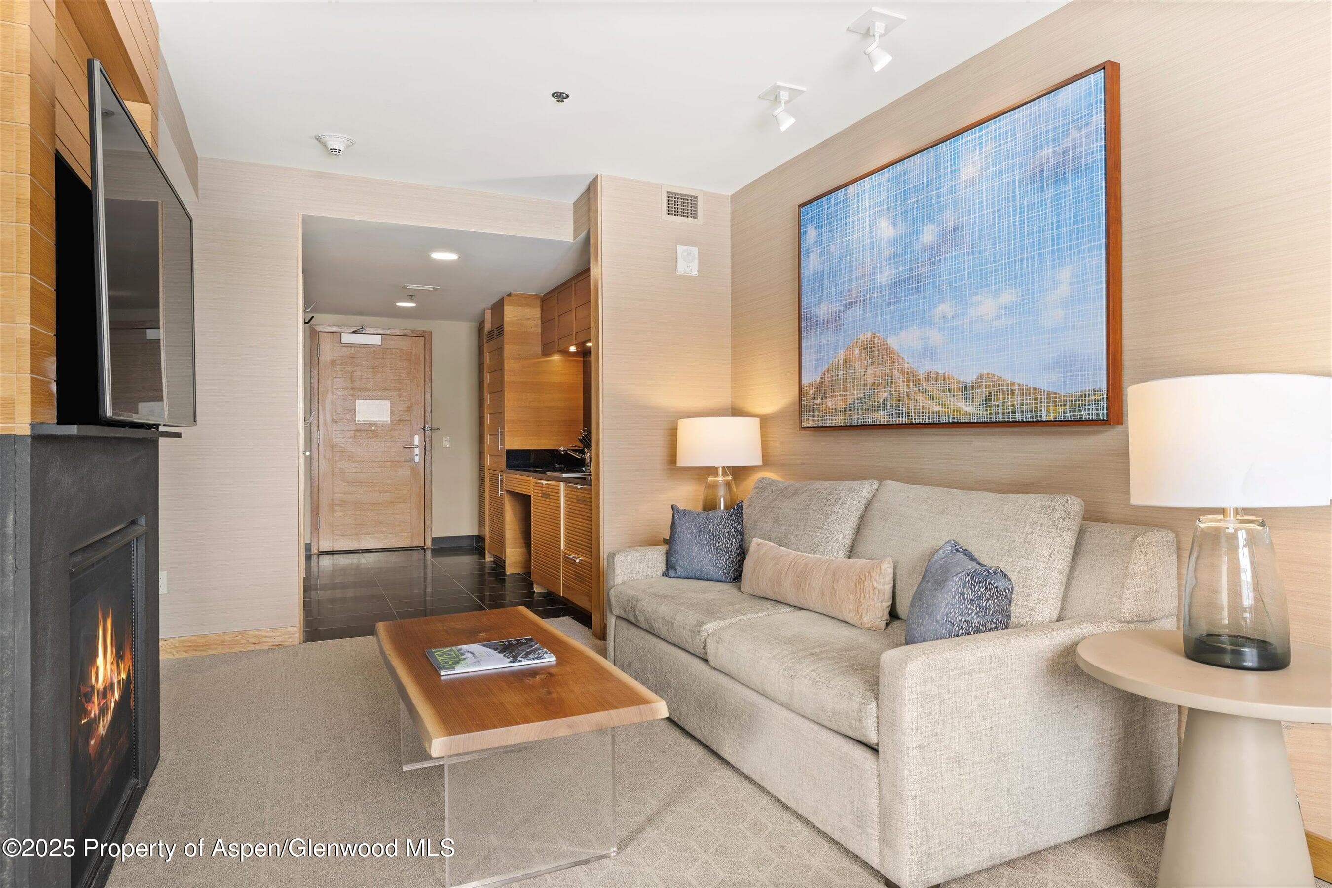 130 Wood Road 530, Snowmass Village, CO 81615 - Photo 4
