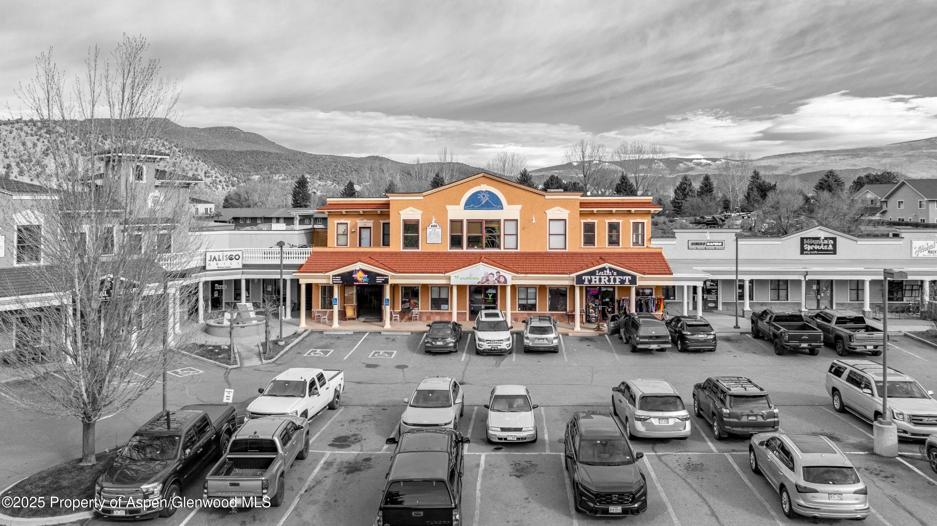 600 Co-133 21, Carbondale, CO 81623 - Photo 3
