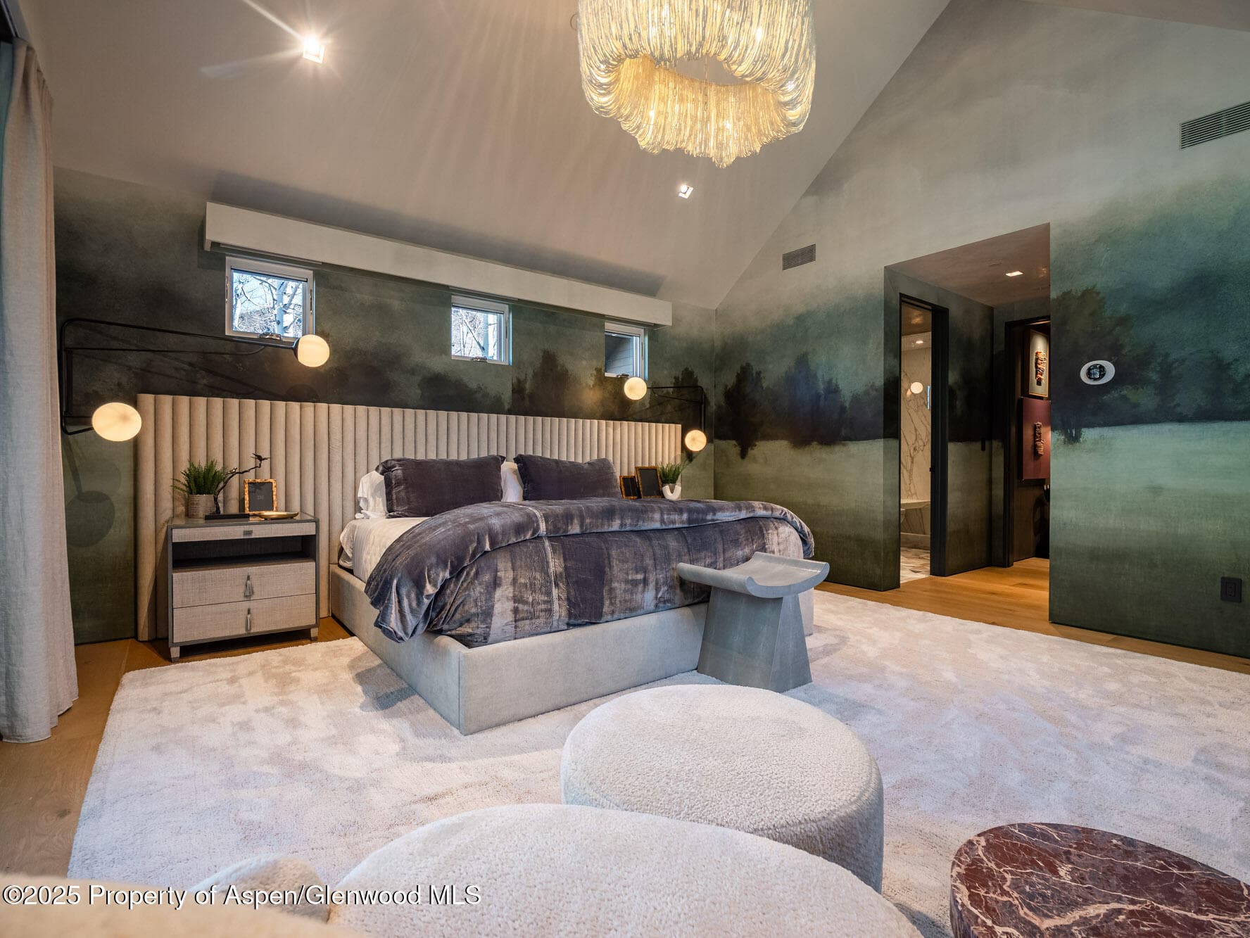 936 King Street, Aspen, CO 81611 - Photo 43