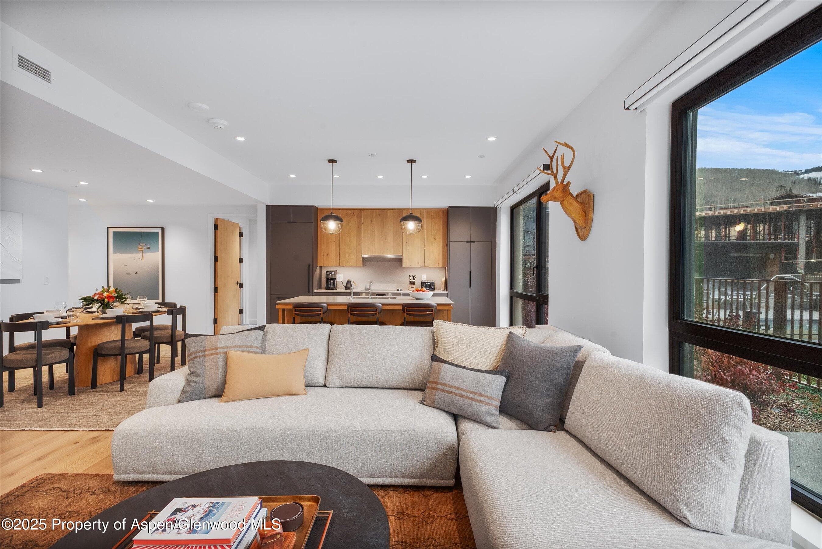 119 Wood Road 101, Snowmass Village, CO 81615 - Photo 8