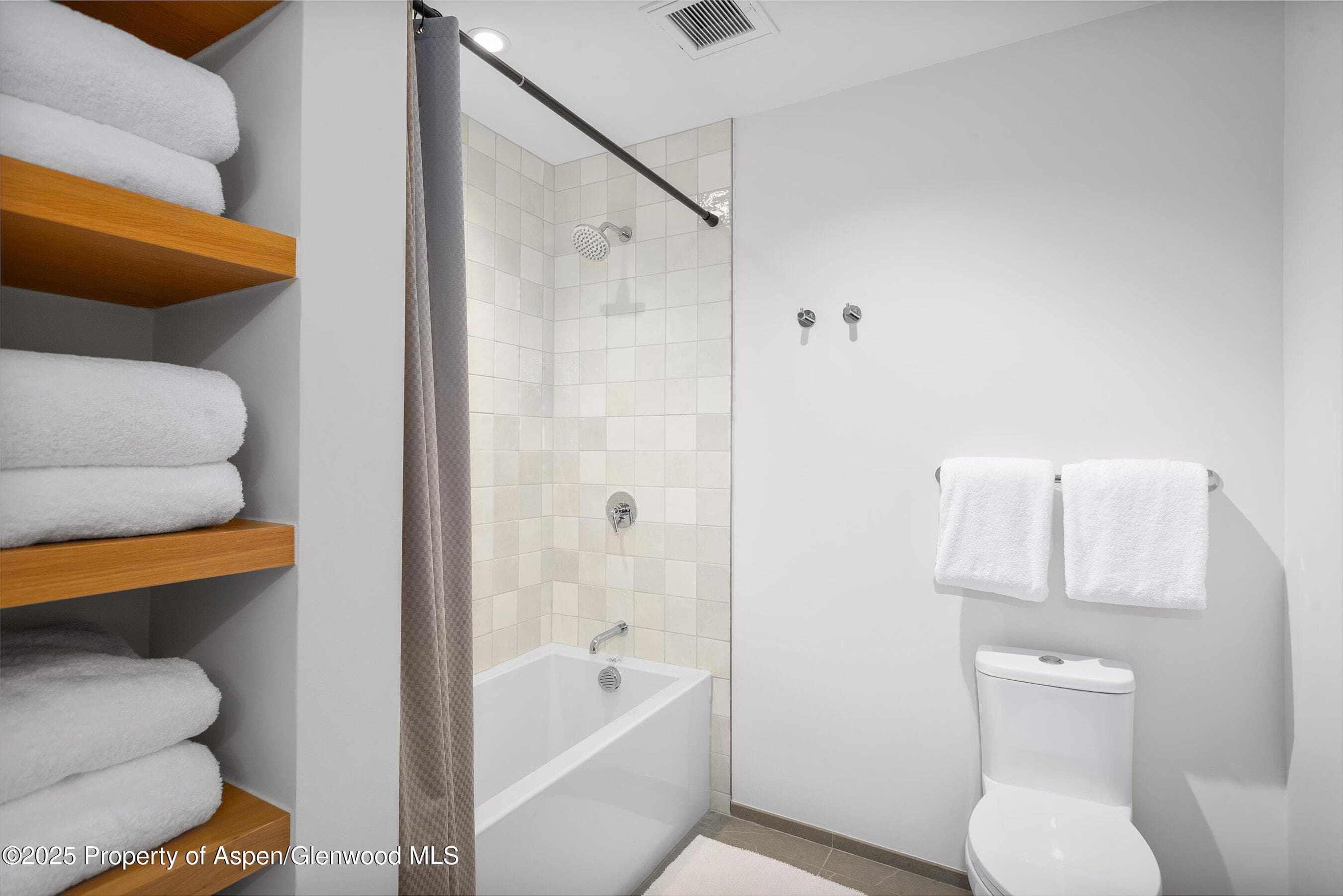 119 Wood Road 101, Snowmass Village, CO 81615 - Photo 21