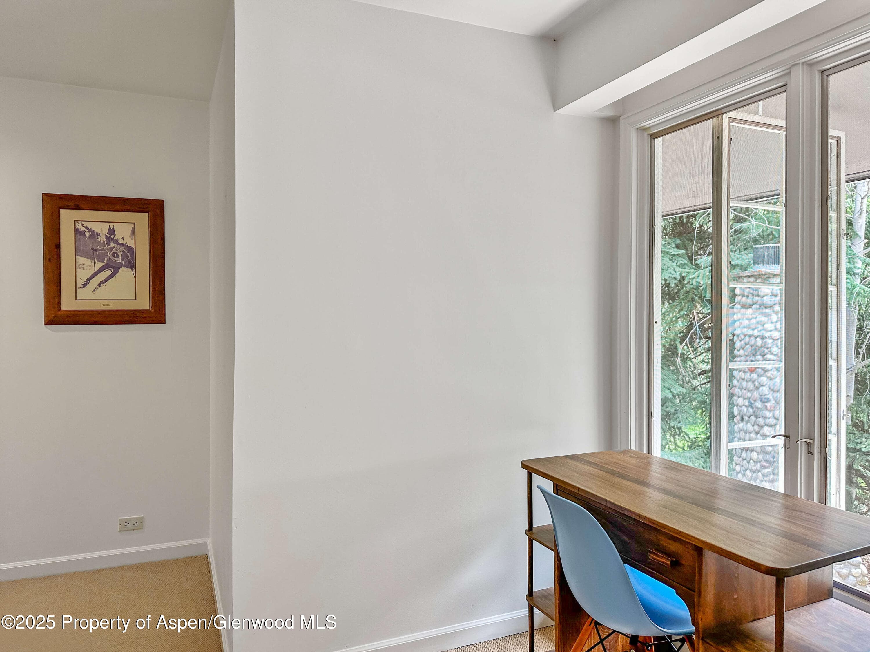 1425 Red Butte Drive, Aspen, CO 81611 - Photo 24