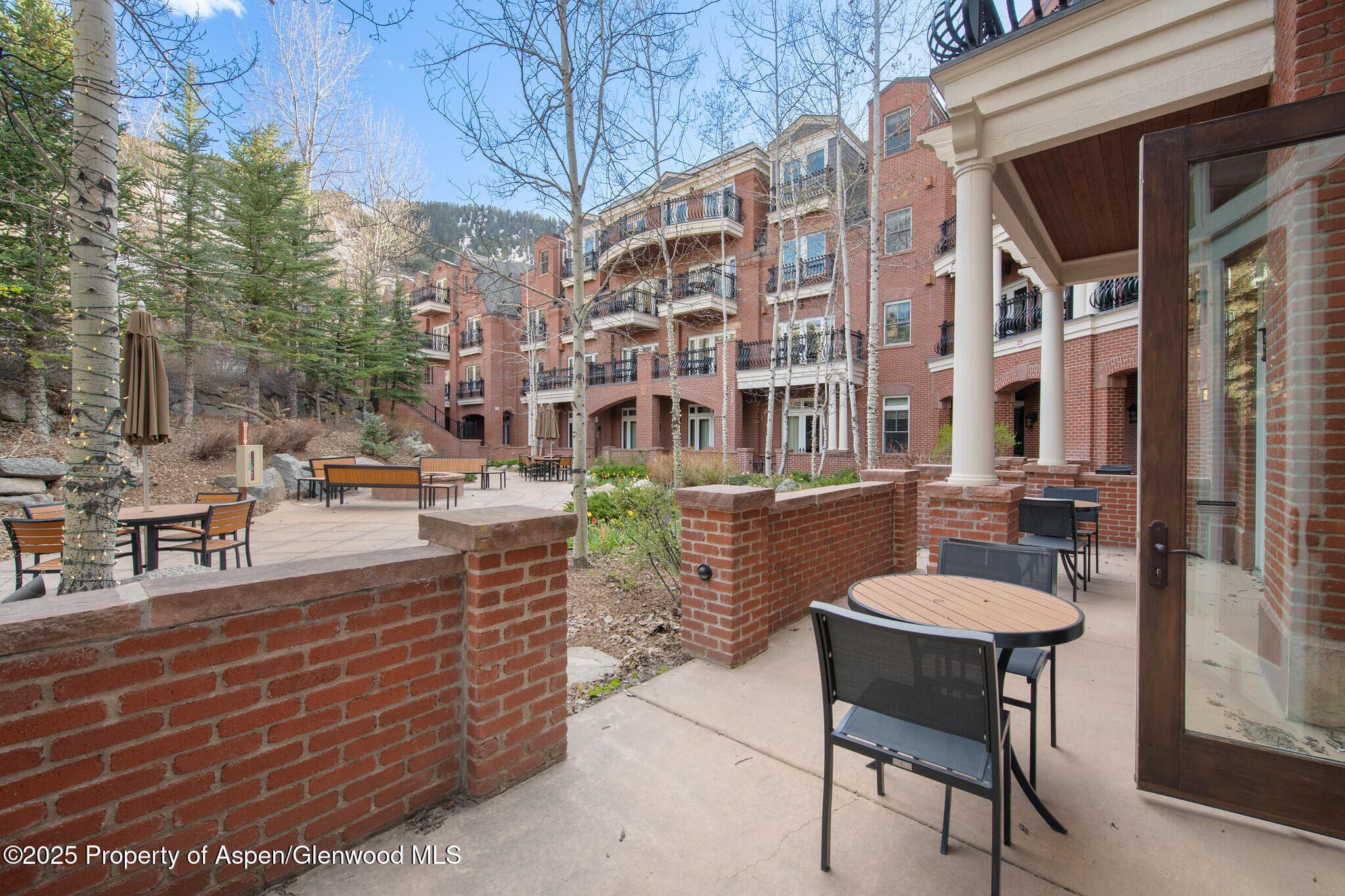 415 E Dean St, Unit 4, Weeks 5 & 6, Aspen, CO 81611 - Photo 13