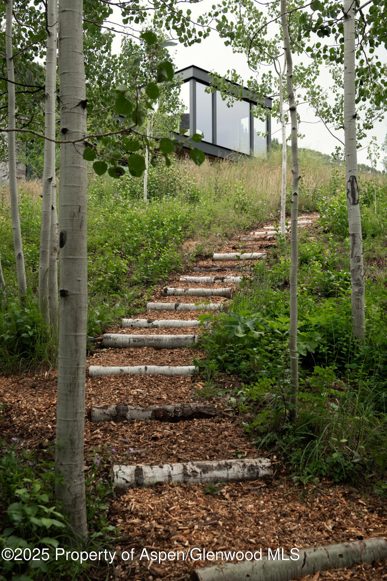 724 N Hayden Road, Aspen, CO 81611 - Photo 36