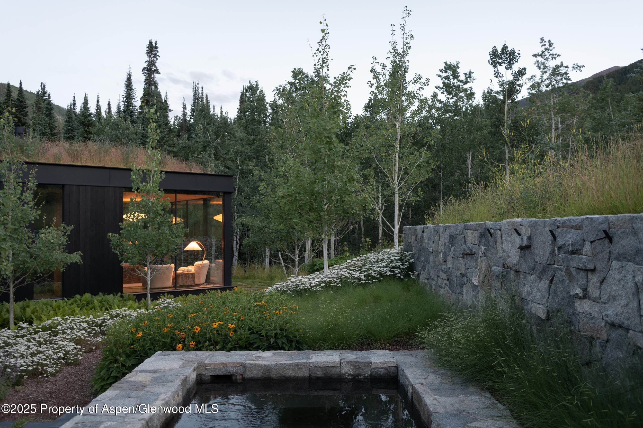 724 N Hayden Road, Aspen, CO 81611 - Photo 31