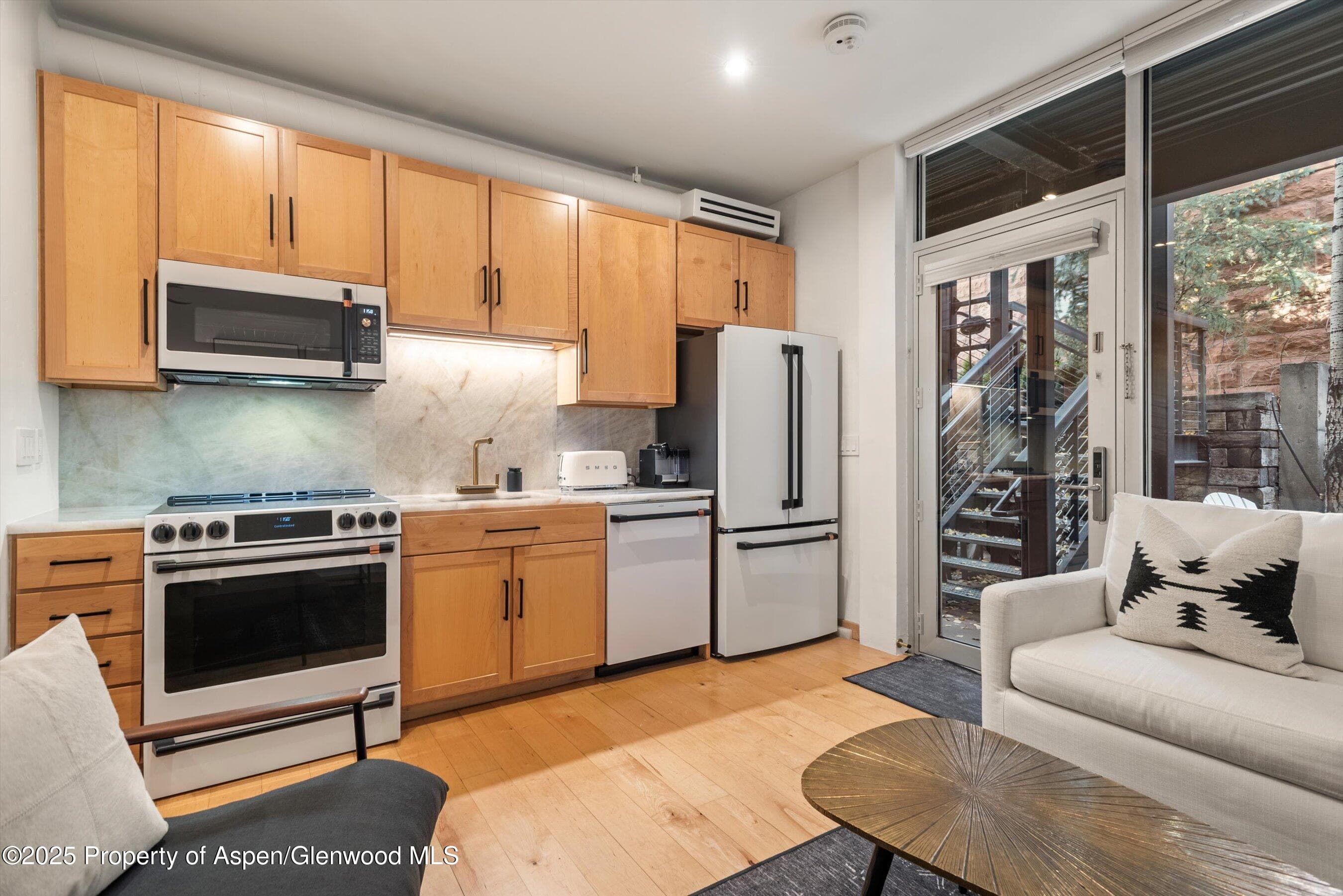 434 E Main Street 102, Aspen, CO 81611 - Photo 4