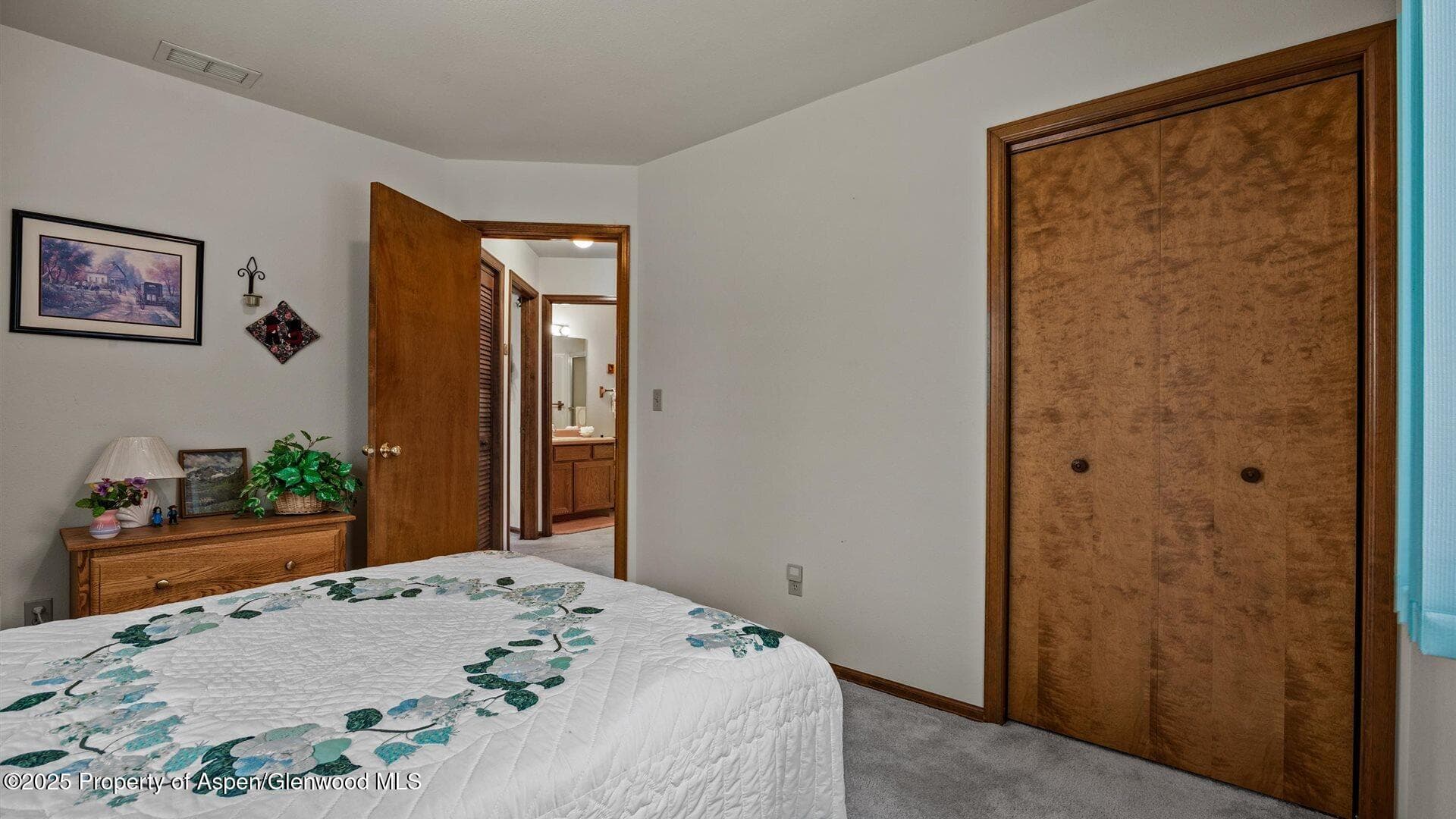 204 Buckthorn Road, New Castle, CO 81647 - Photo 17