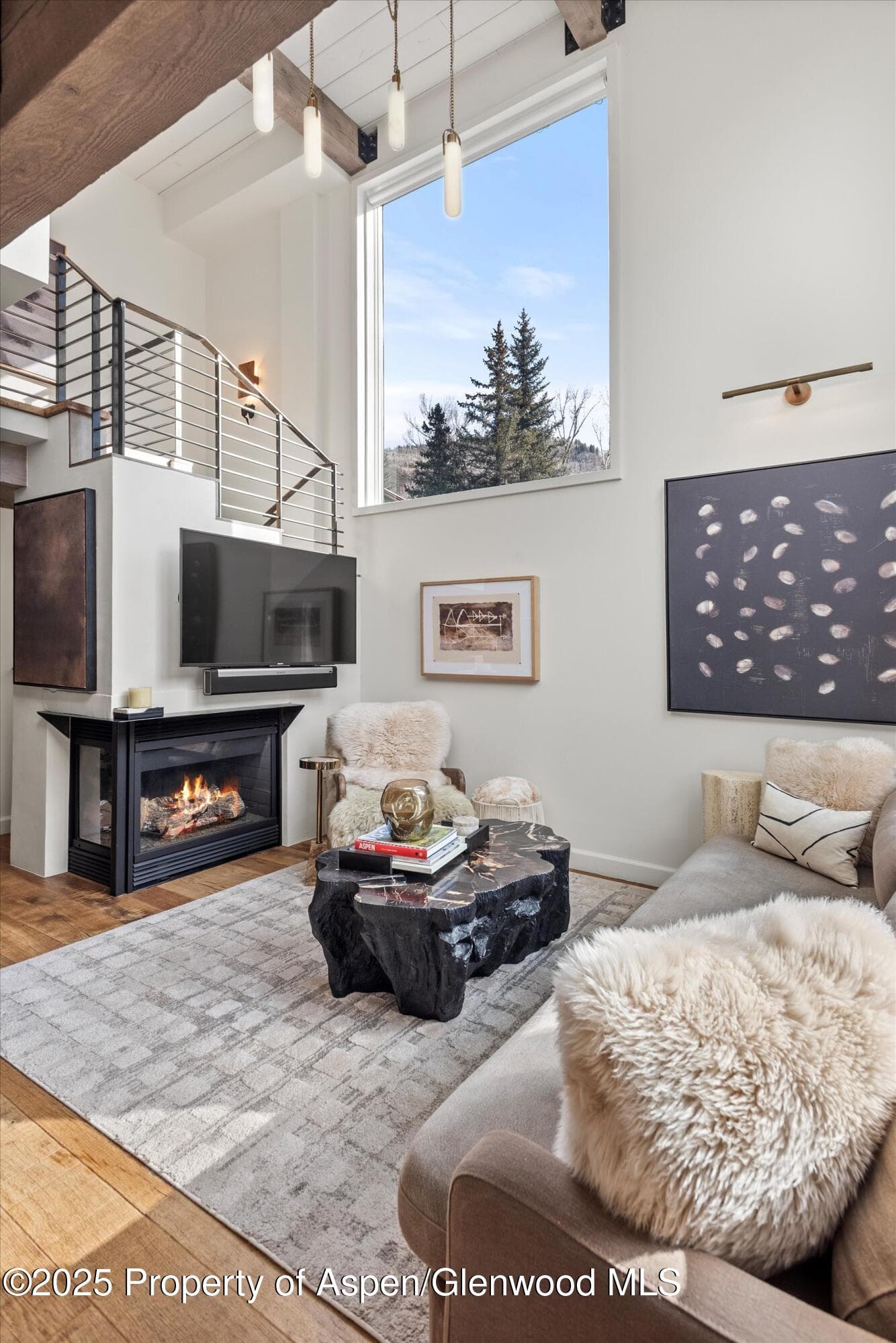 1024 E Cooper Avenue 1, Aspen, CO 81611 - Photo 3