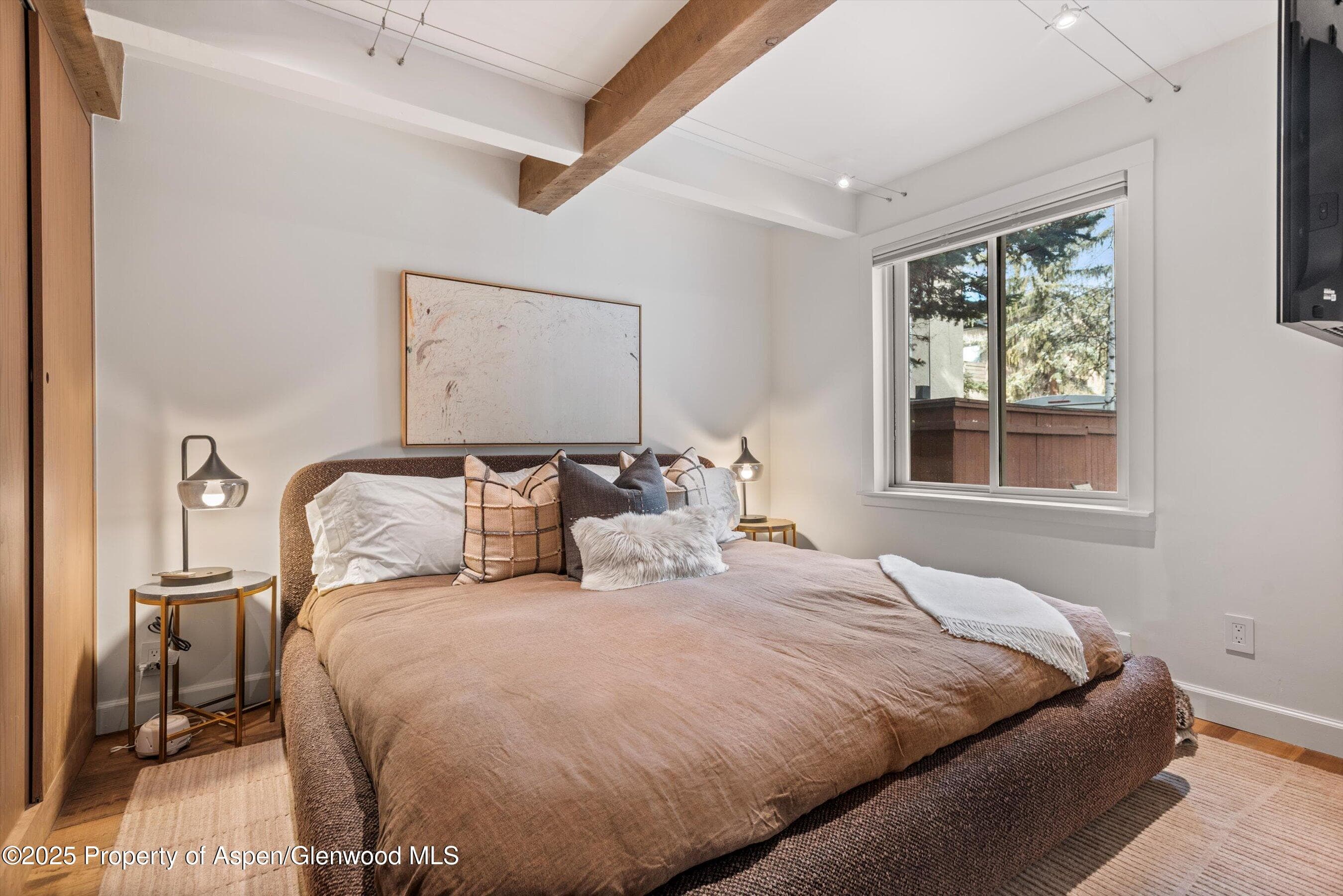 1024 E Cooper Avenue 1, Aspen, CO 81611 - Photo 12