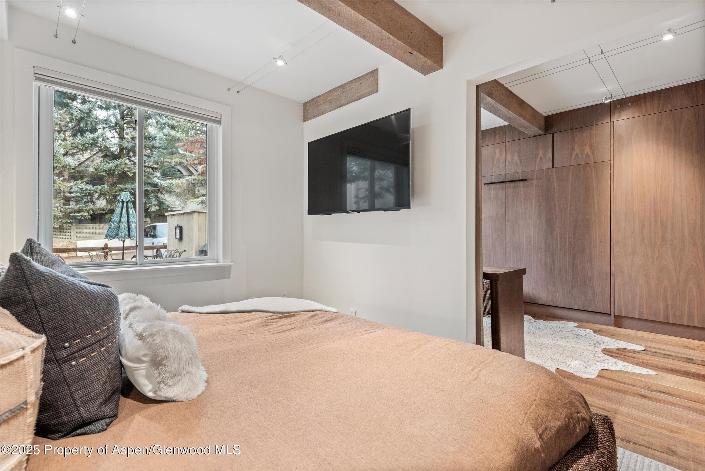 1024 E Cooper Avenue 1, Aspen, CO 81611 - Photo 13