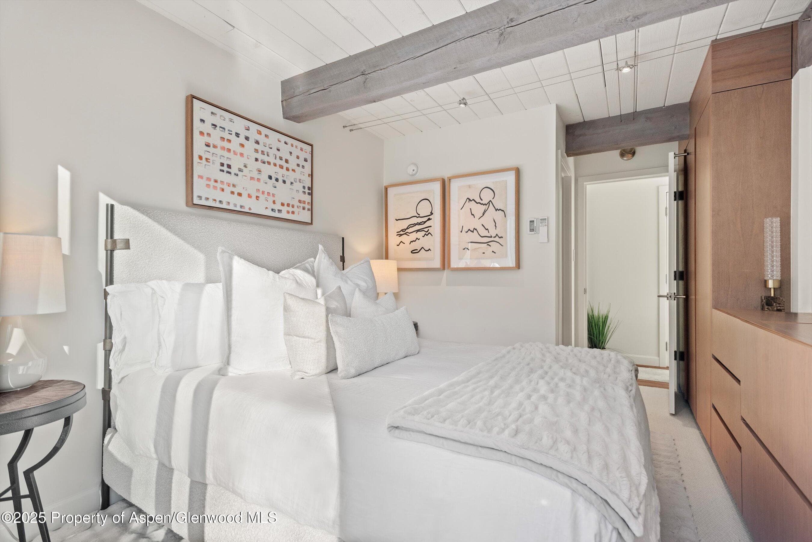 1024 E Cooper Avenue 1, Aspen, CO 81611 - Photo 20