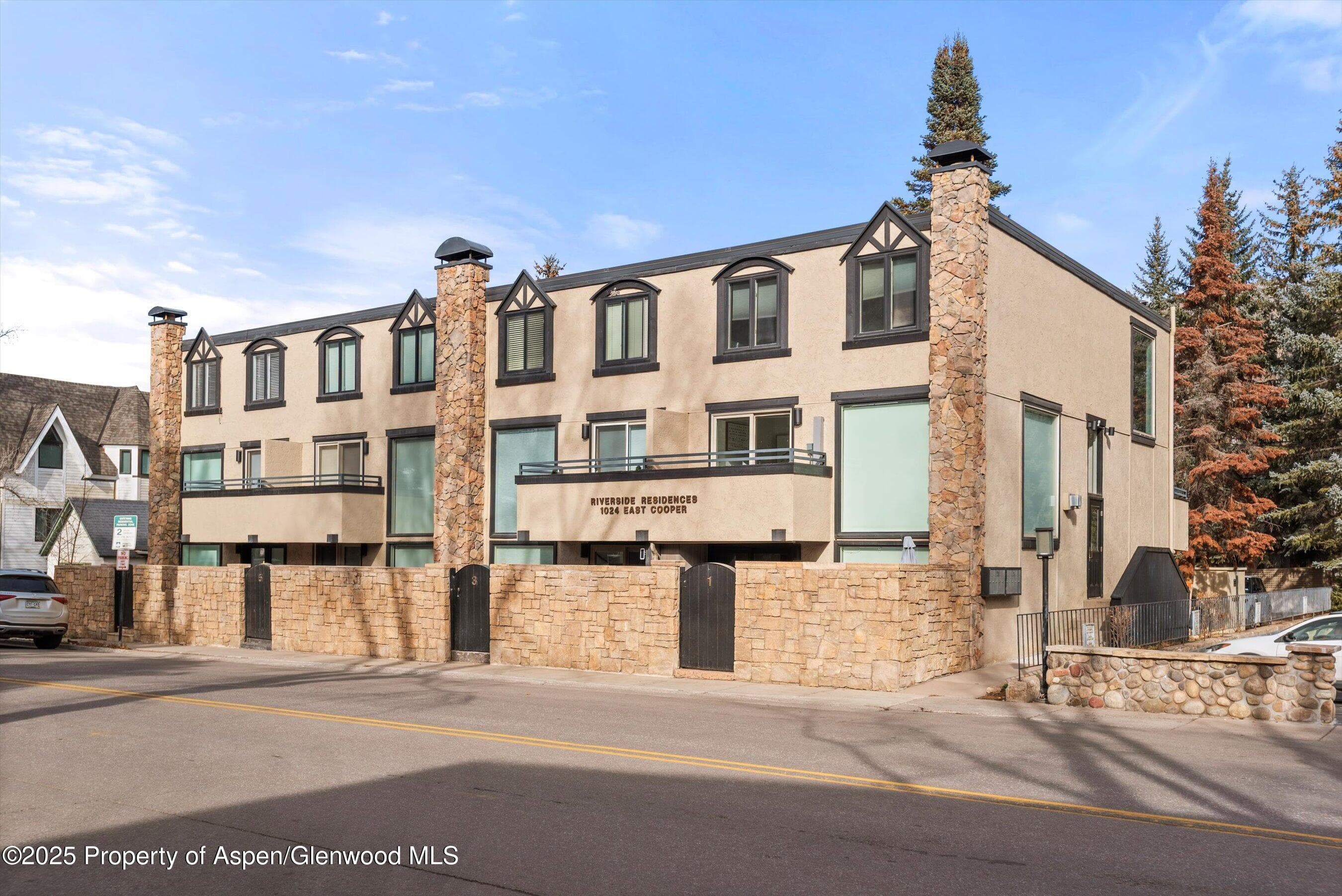 1024 E Cooper Avenue 1, Aspen, CO 81611 - Photo 25