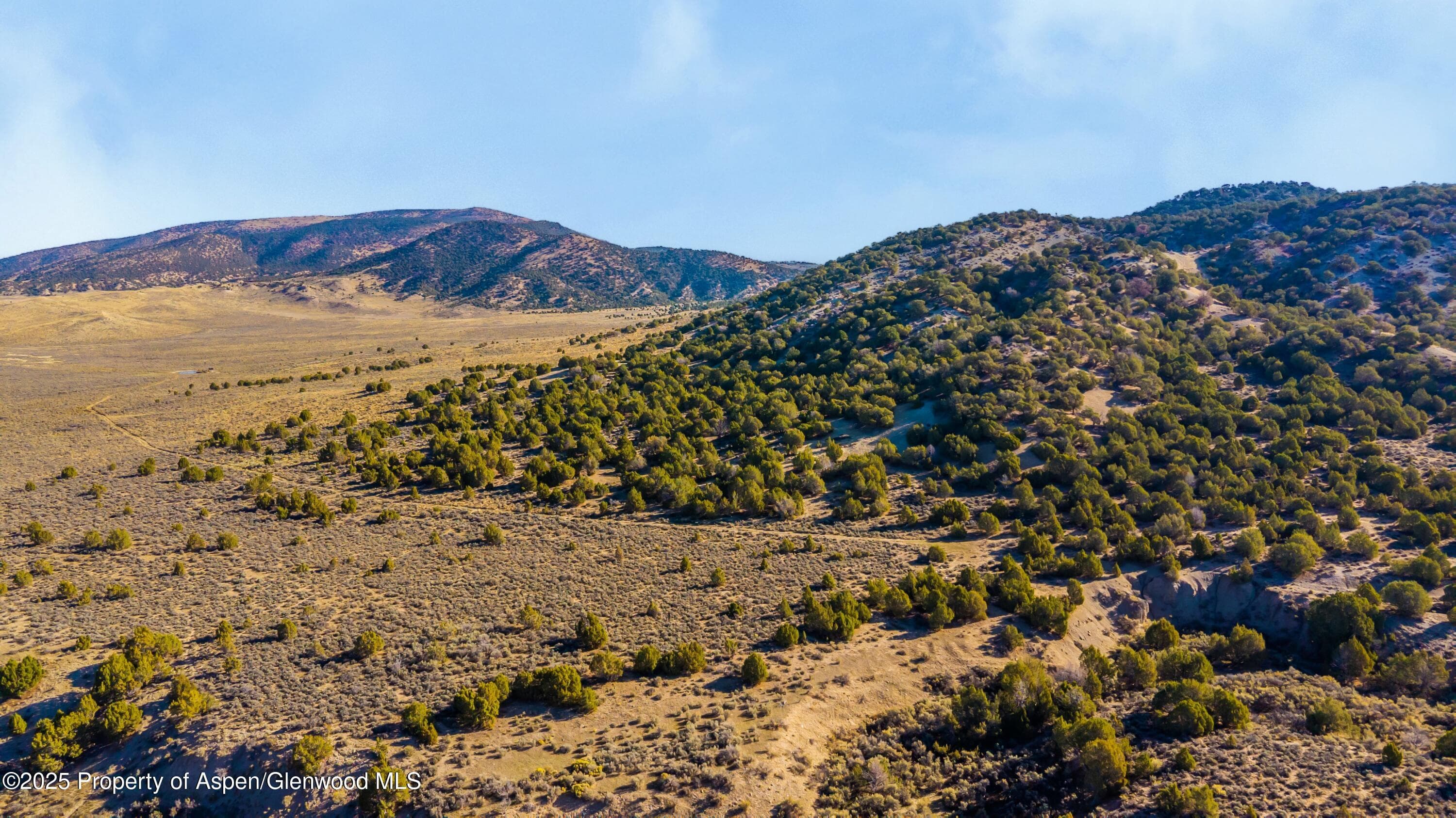 TBD County Road 53, Maybell, CO 81640 - Photo 33