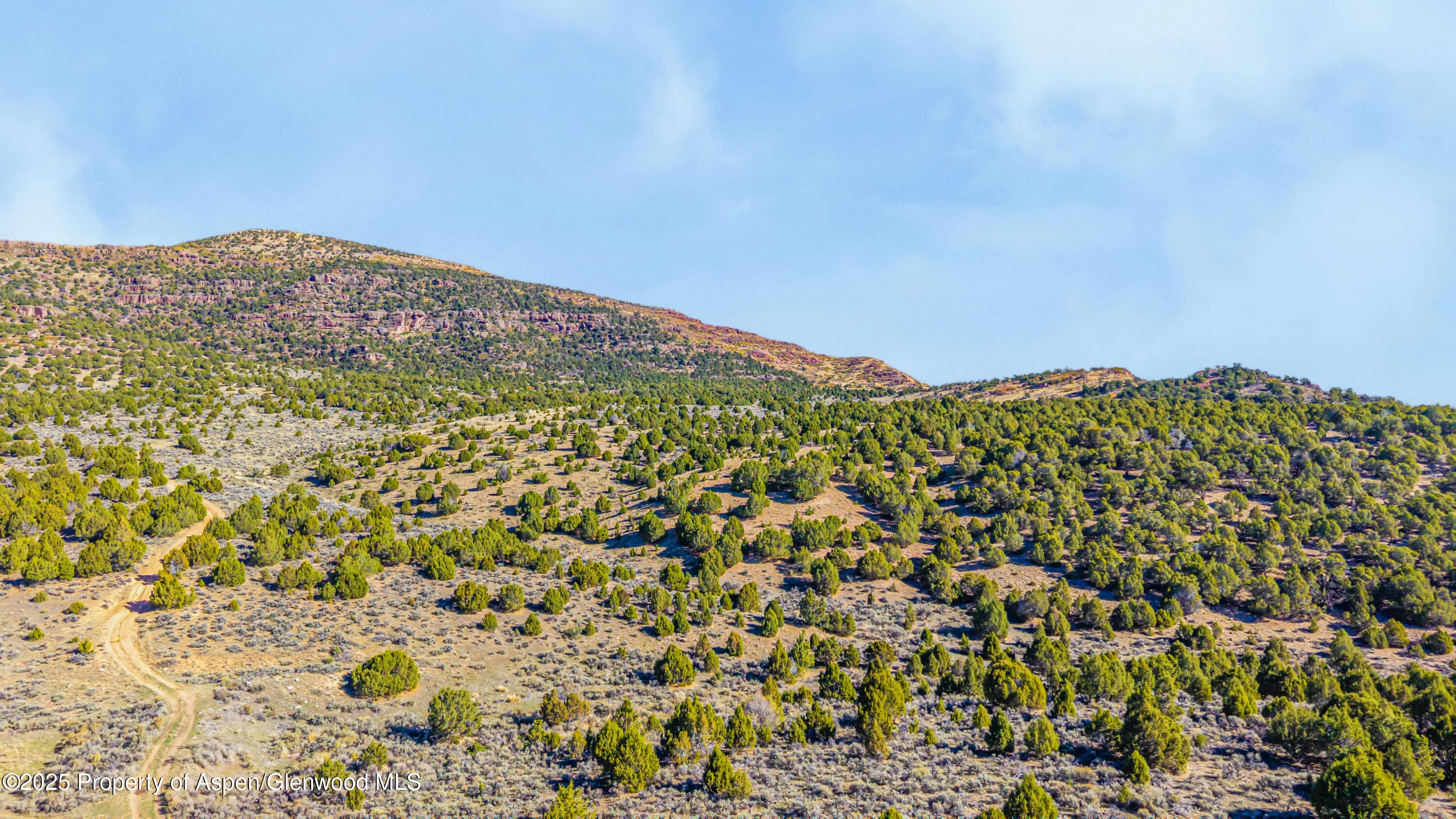 TBD County Road 53, Maybell, CO 81640 - Photo 4