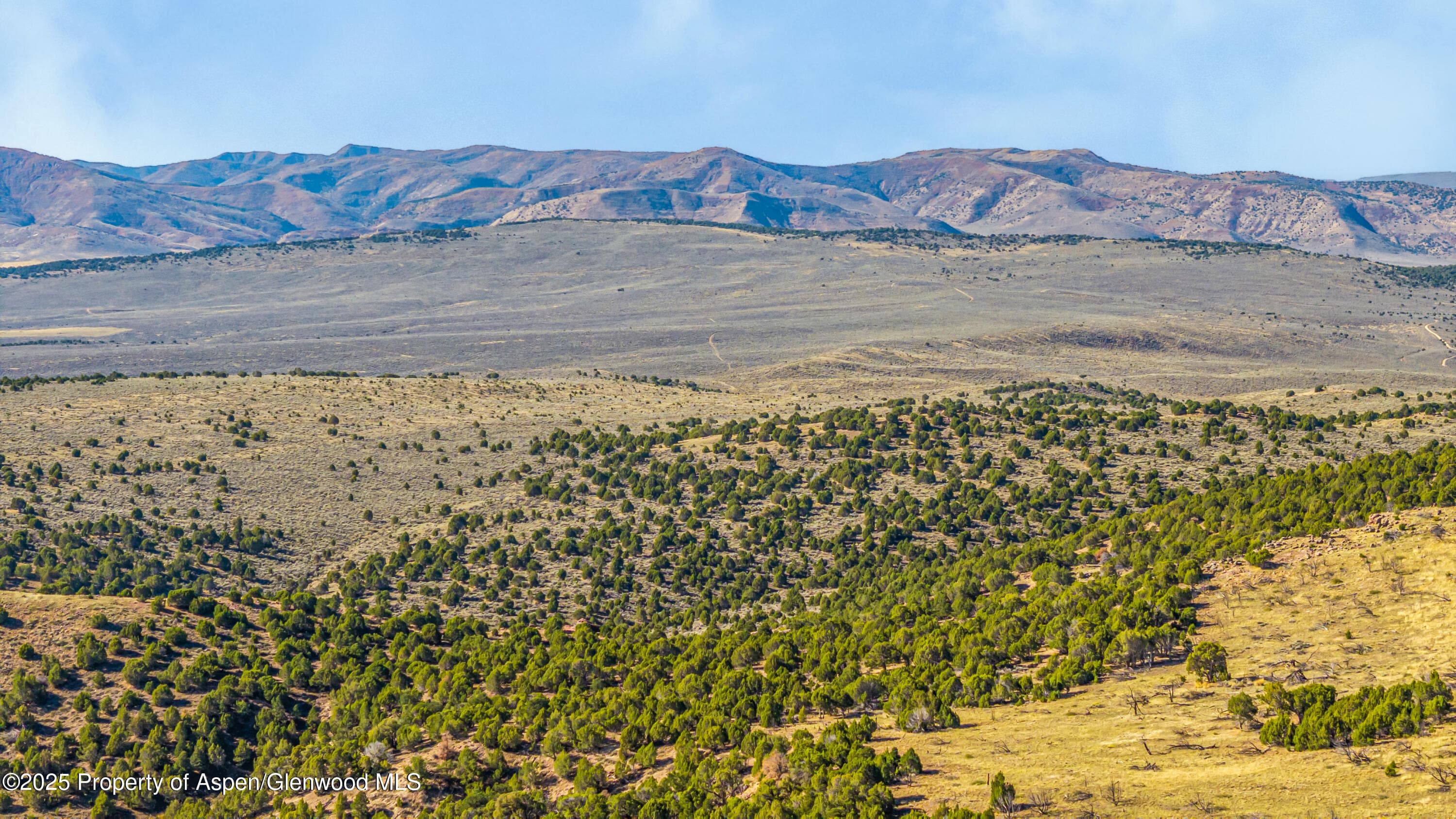 TBD County Road 53, Maybell, CO 81640 - Photo 37