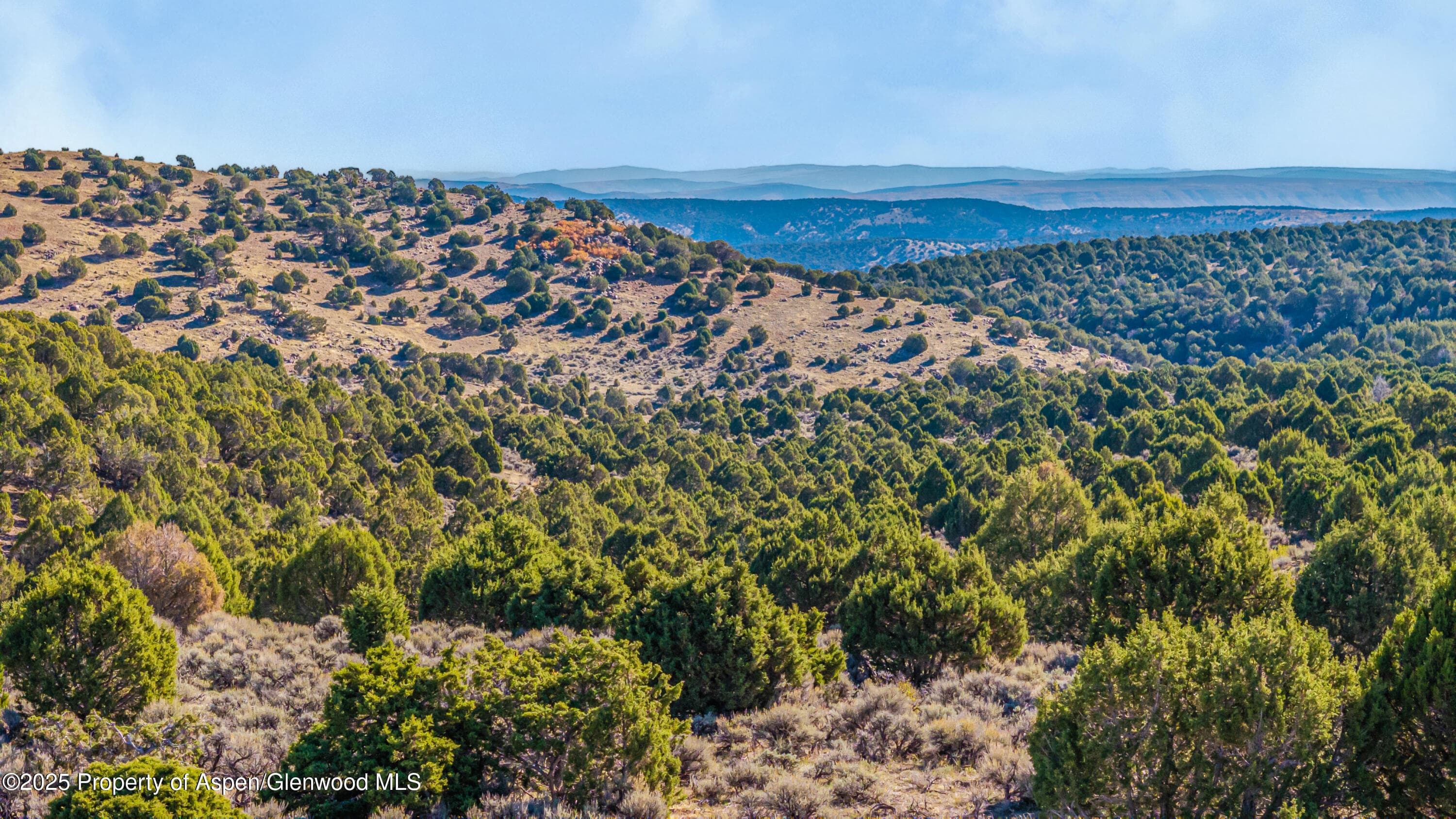 TBD County Road 53, Maybell, CO 81640 - Photo 10