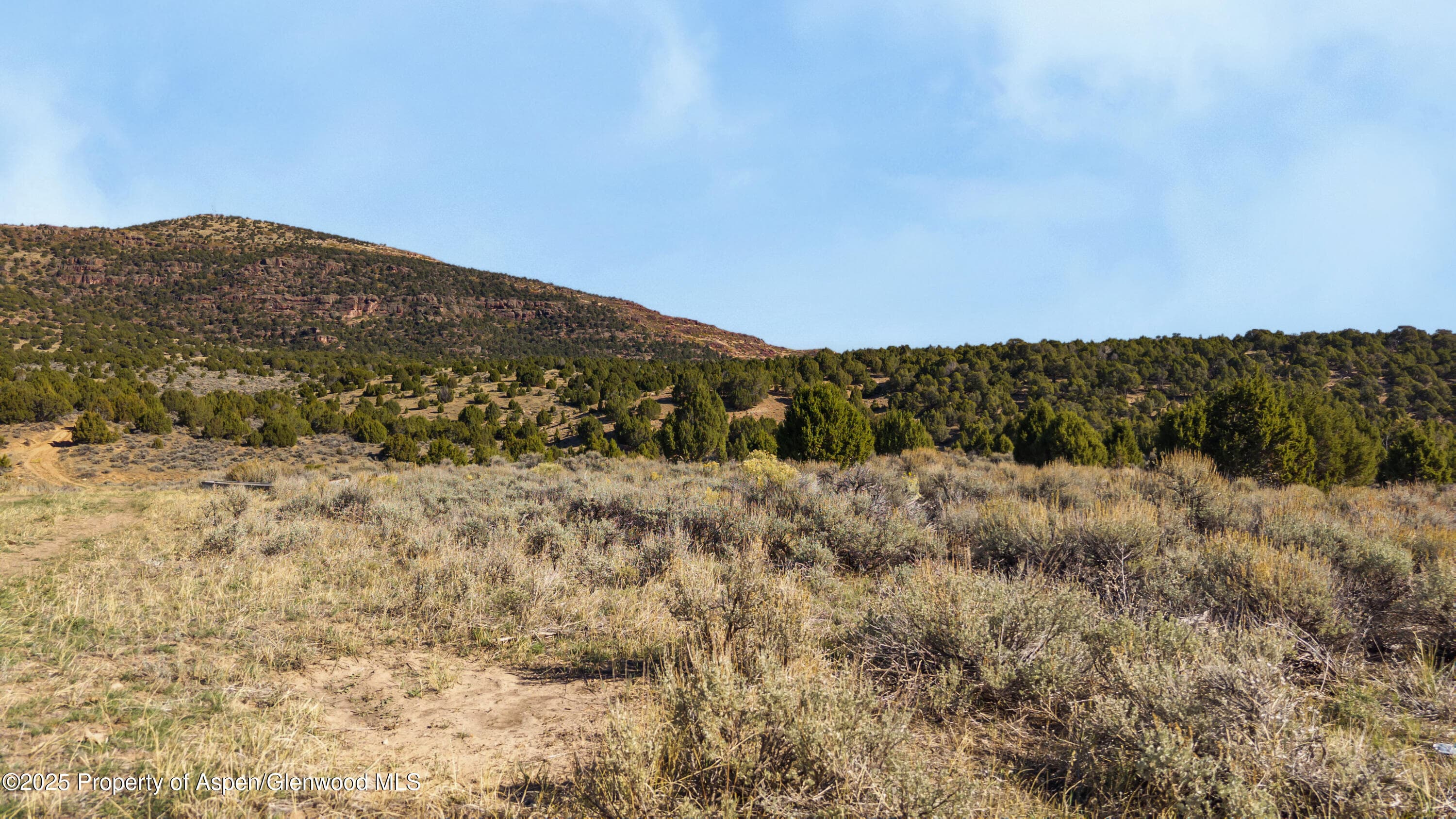 TBD County Road 53, Maybell, CO 81640 - Photo 25