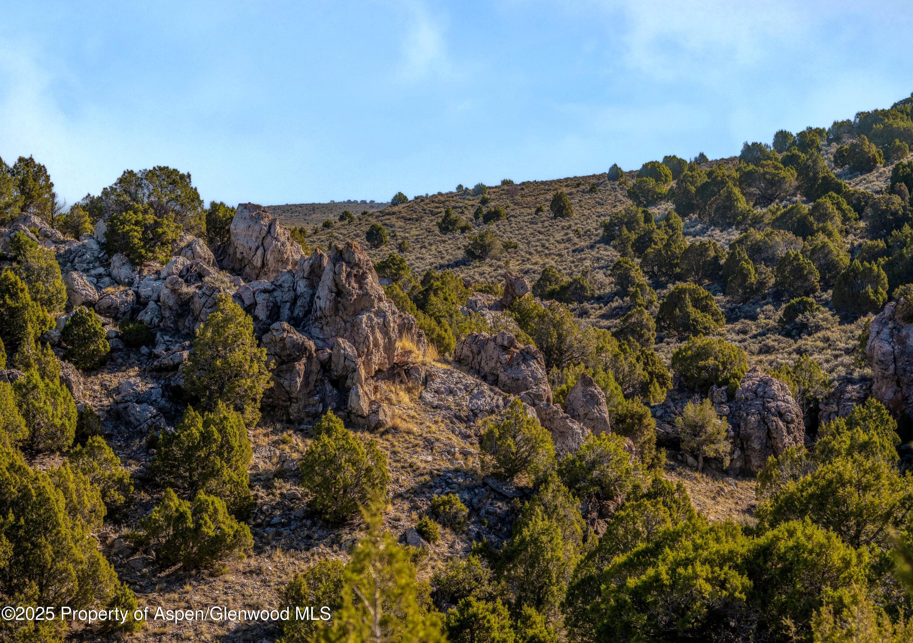 TBD County Road 53, Maybell, CO 81640 - Photo 43