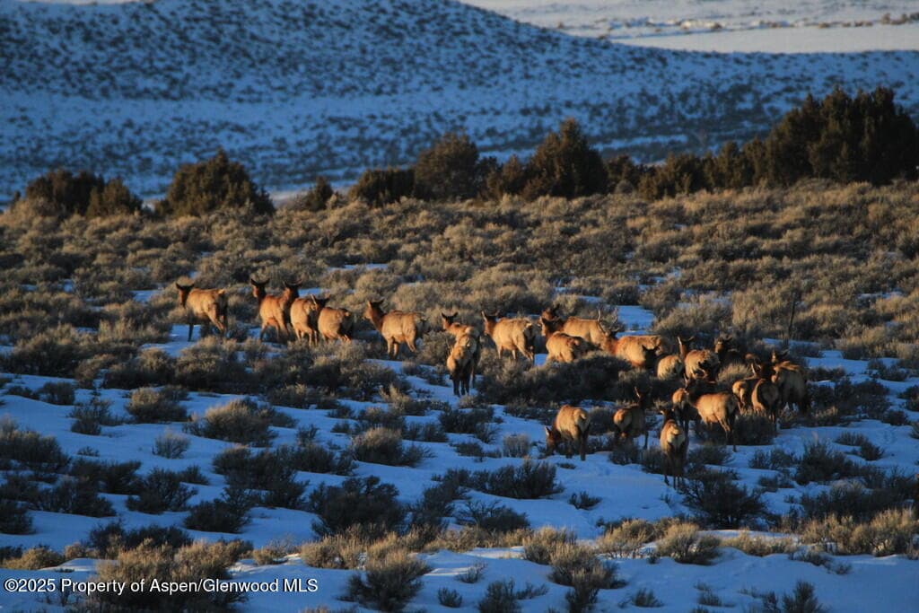TBD County Road 53, Maybell, CO 81640 - Photo 20