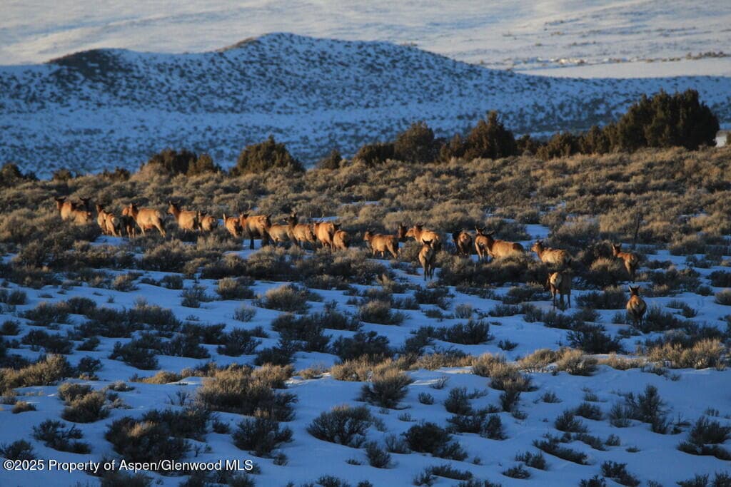 TBD County Road 53, Maybell, CO 81640 - Photo 38