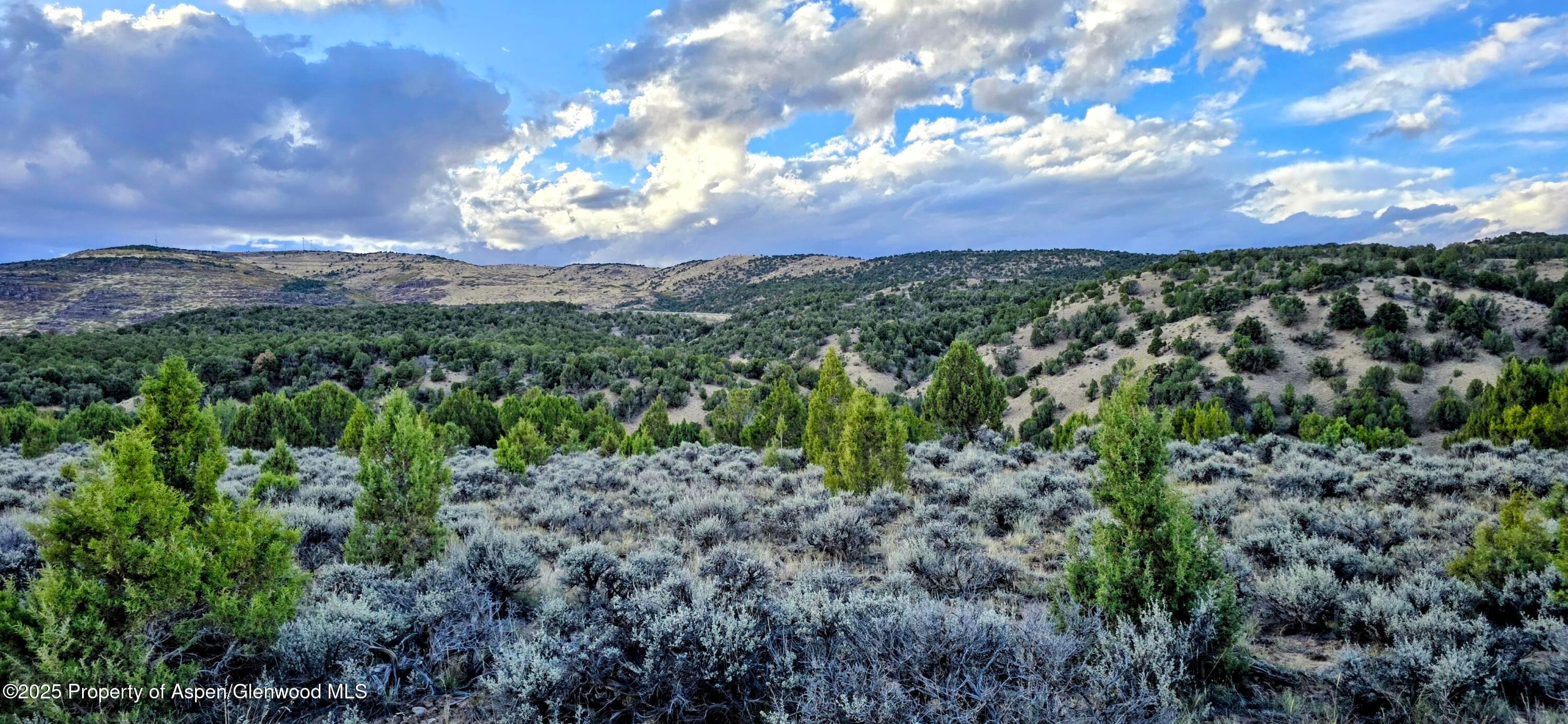 TBD County Road 53, Maybell, CO 81640 - Photo 15
