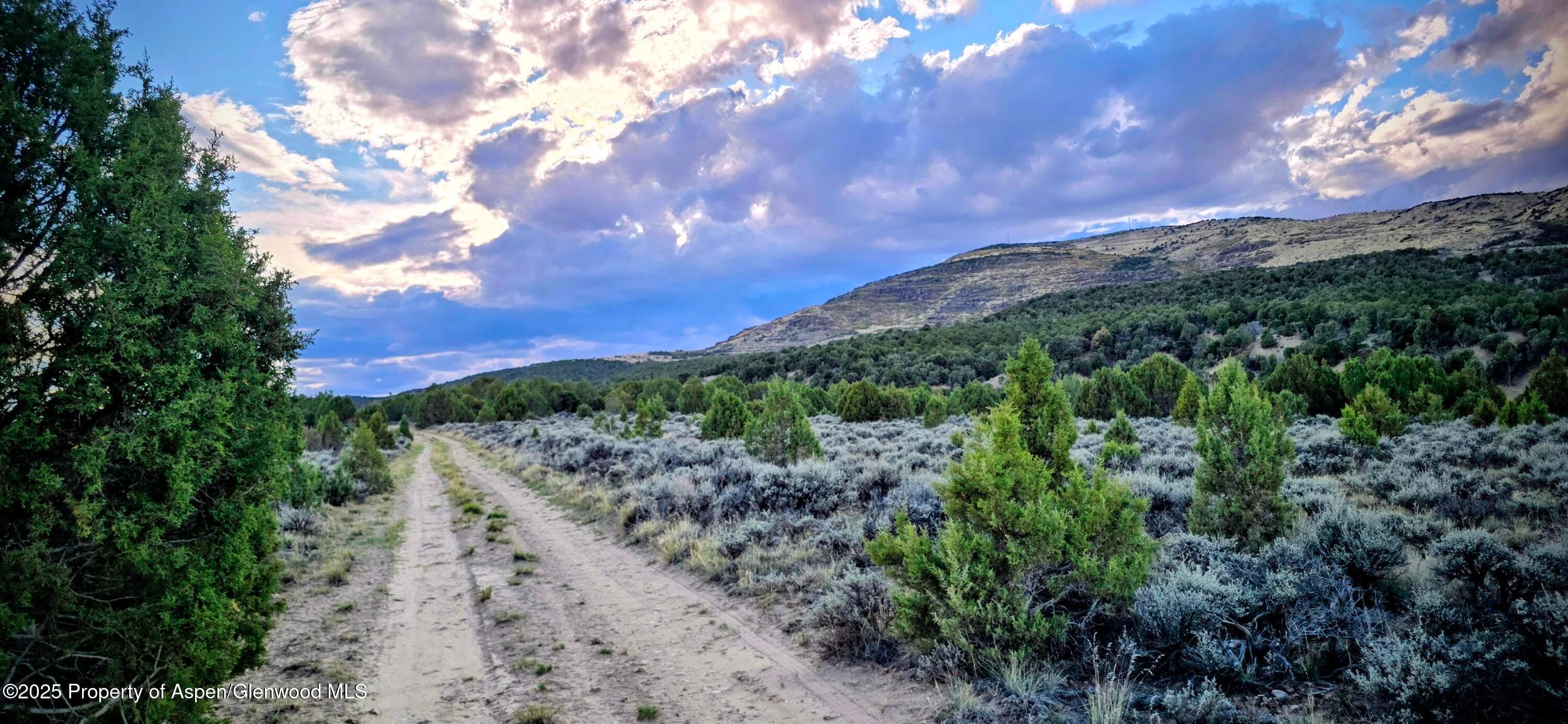 TBD County Road 53, Maybell, CO 81640 - Photo 28