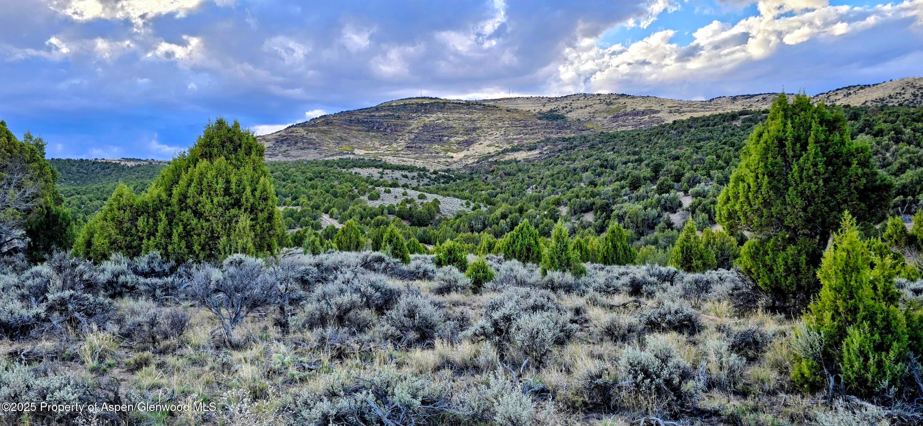 TBD County Road 53, Maybell, CO 81640 - Photo 13
