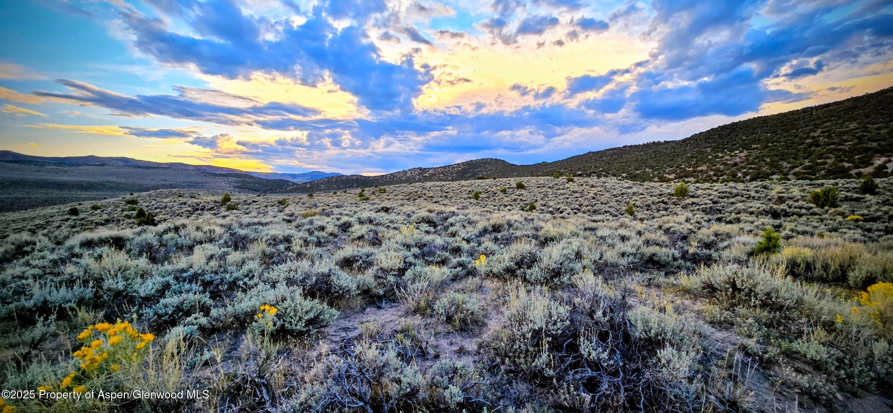 TBD County Road 53, Maybell, CO 81640 - Photo 36