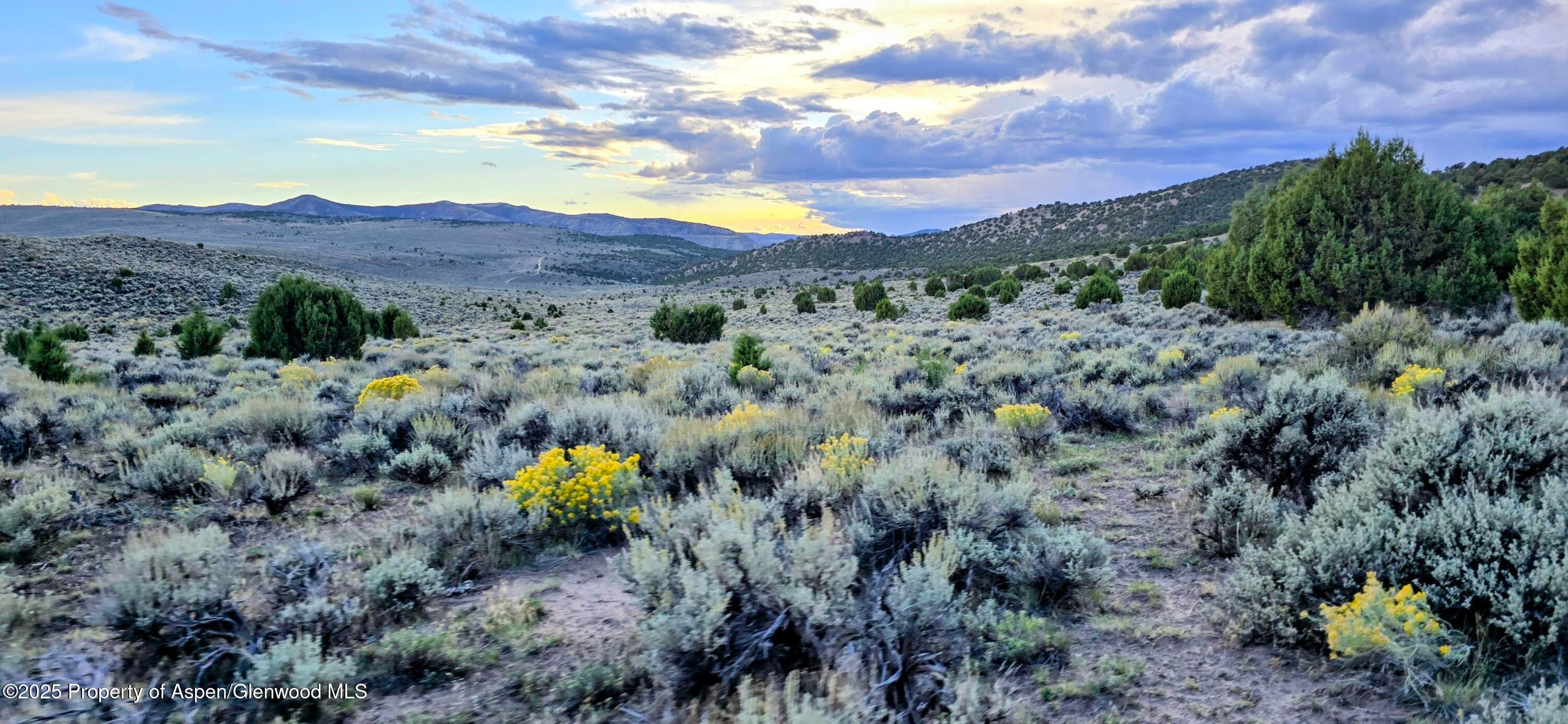 TBD County Road 53, Maybell, CO 81640 - Photo 35