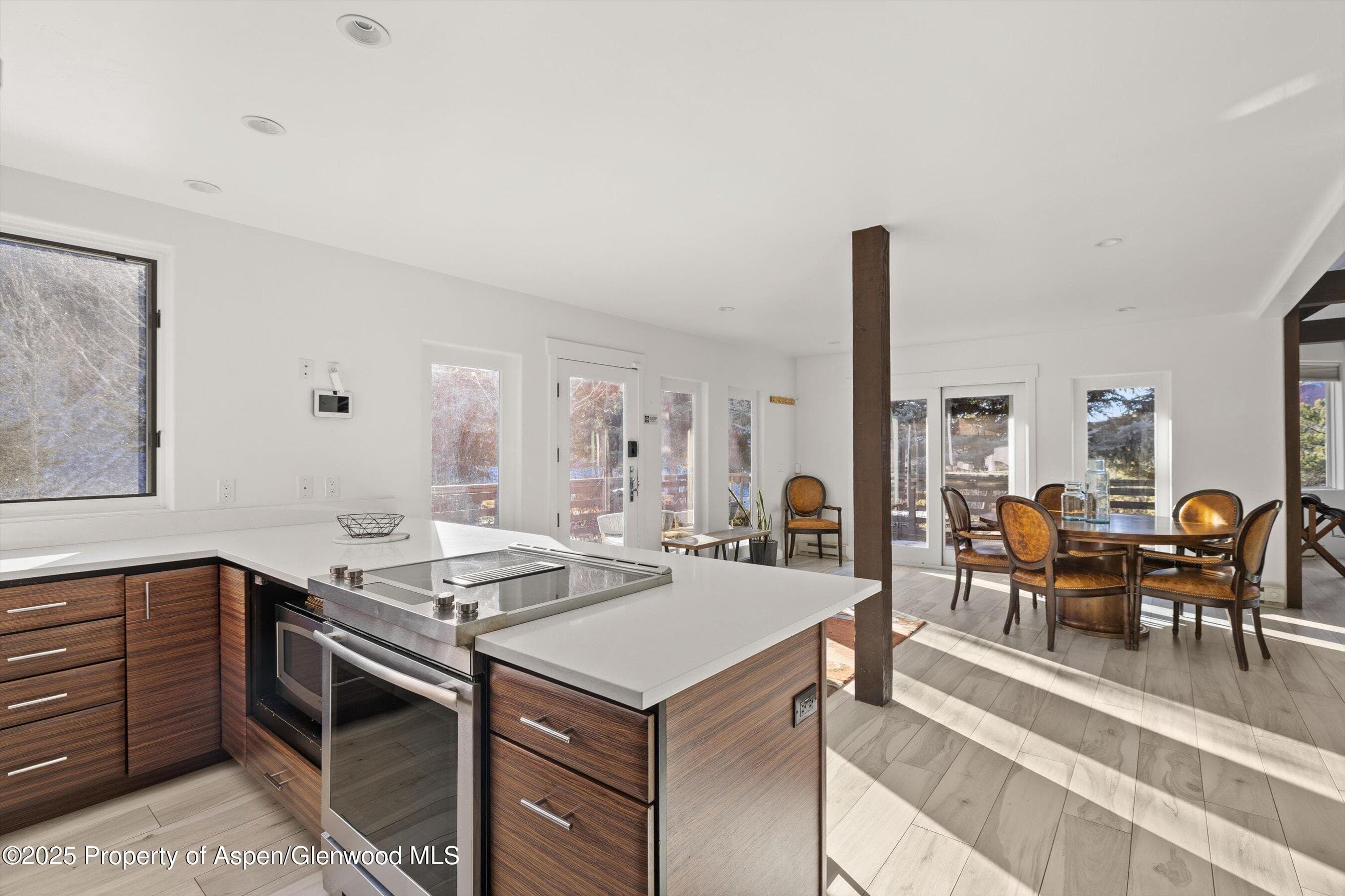 163 Castle Lane, Basalt, CO 81621 - Photo 9