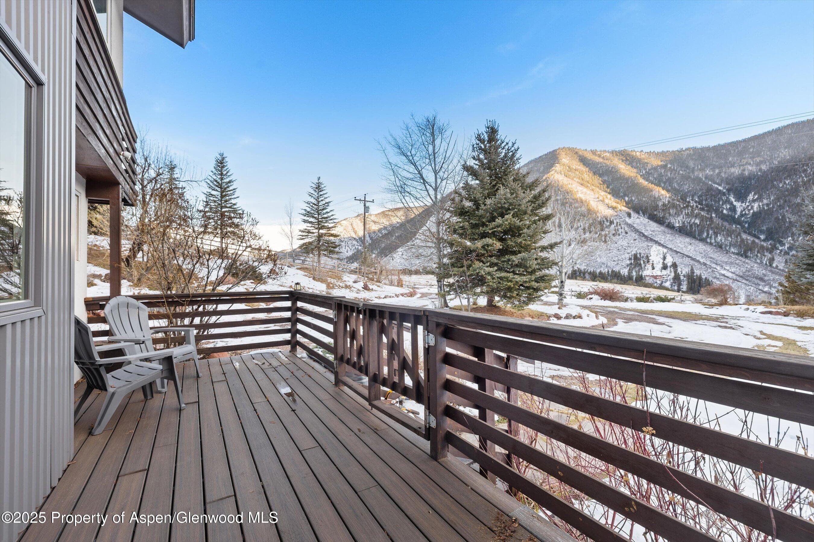 163 Castle Lane, Basalt, CO 81621 - Photo 20