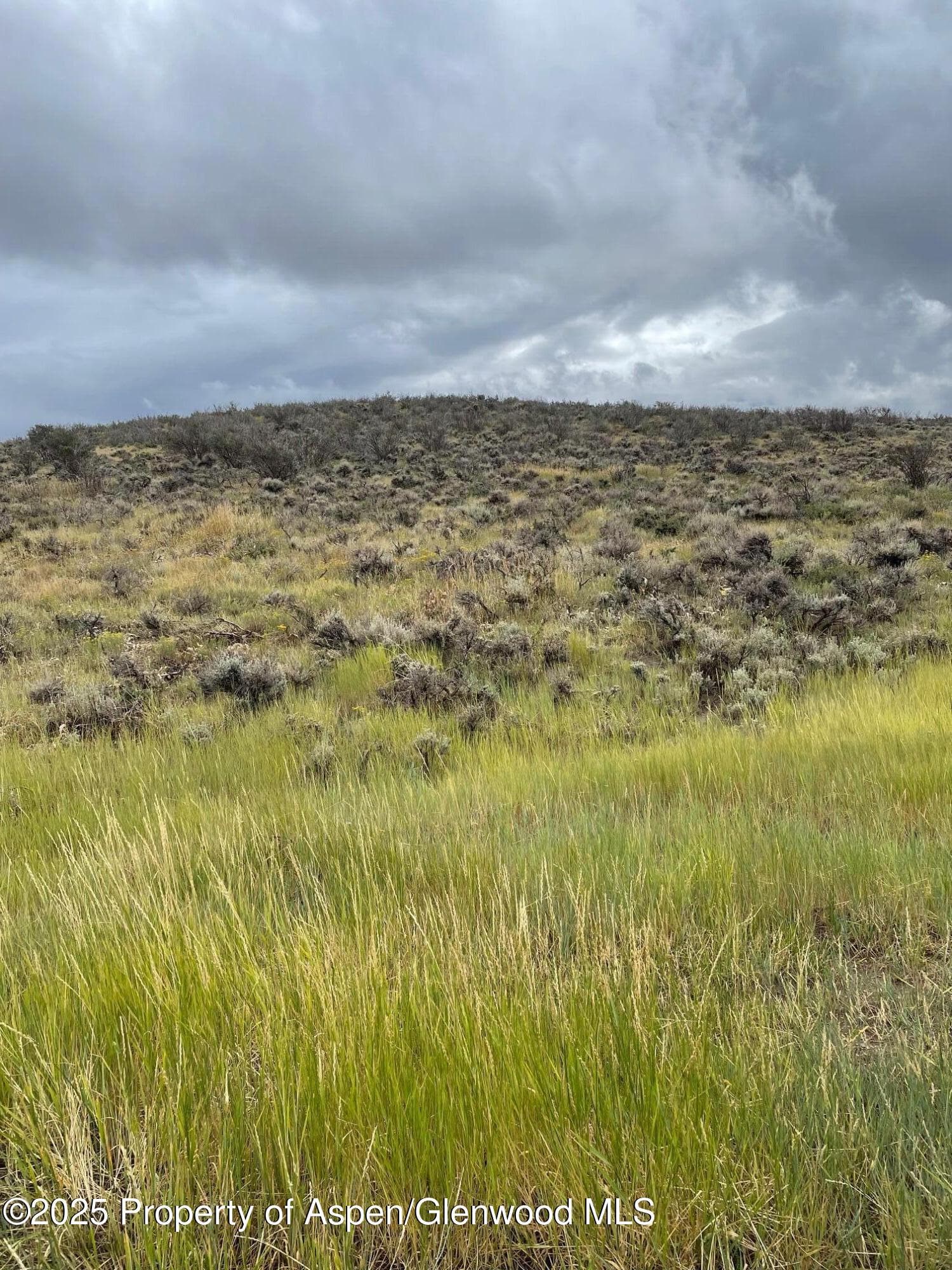 TBD Pine Ridge Trail, Craig, CO 81625 - Photo 1