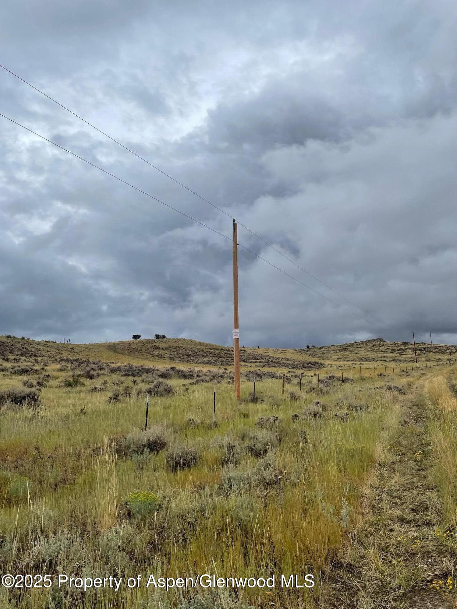 TBD Pine Ridge Trail, Craig, CO 81625 - Photo 8