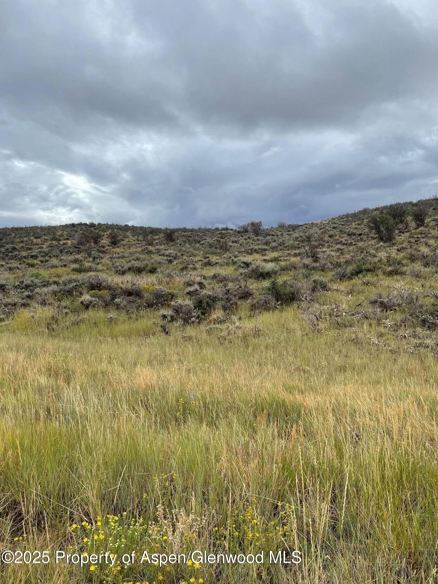 TBD Pine Ridge Trail, Craig, CO 81625 - Photo 7