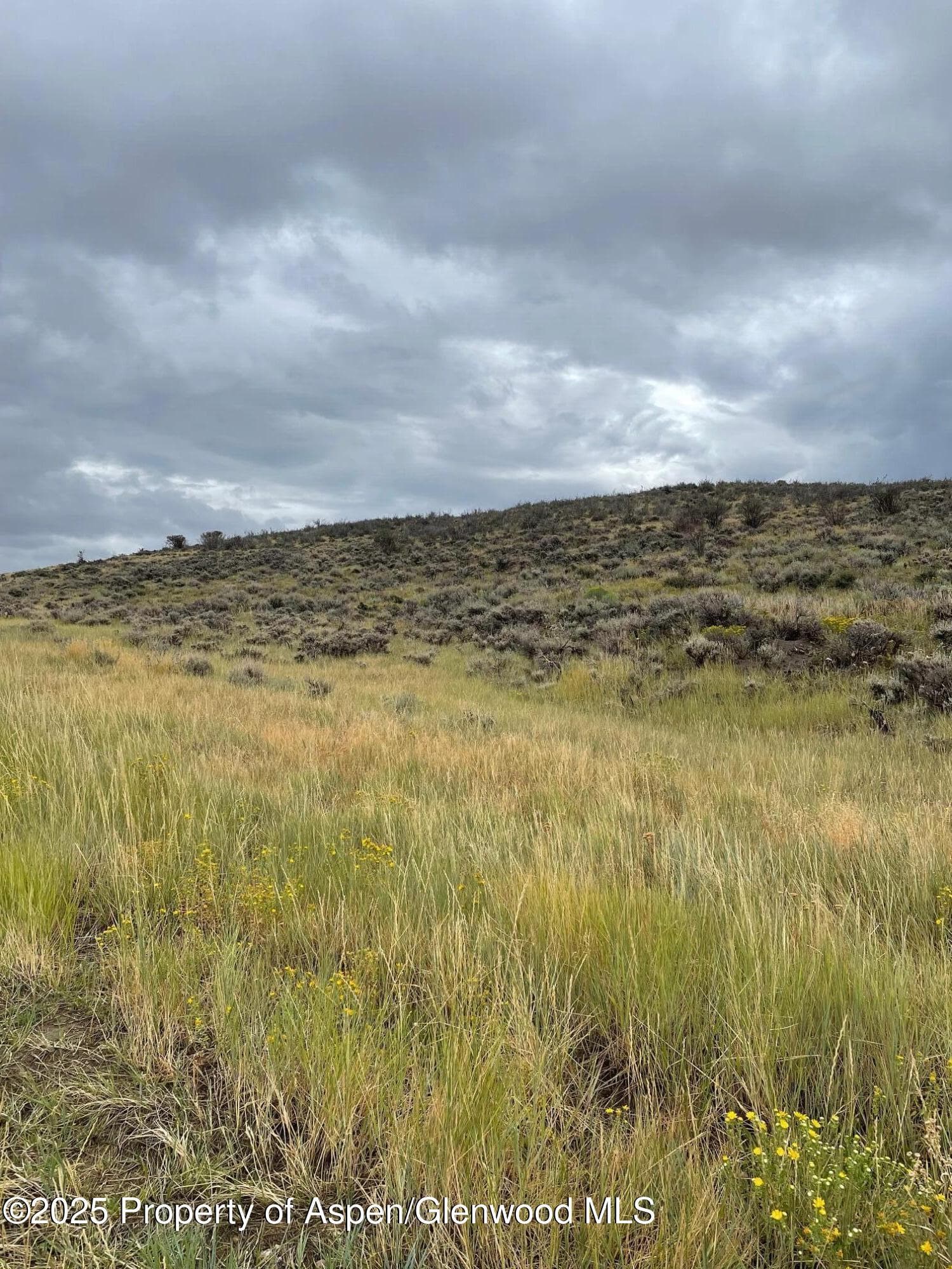 TBD Pine Ridge Trail, Craig, CO 81625 - Photo 6