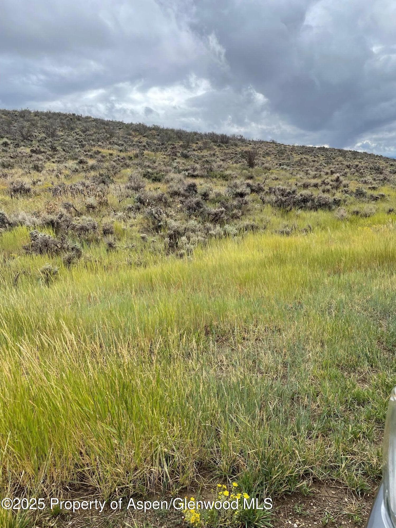 TBD Pine Ridge Trail, Craig, CO 81625 - Photo 5