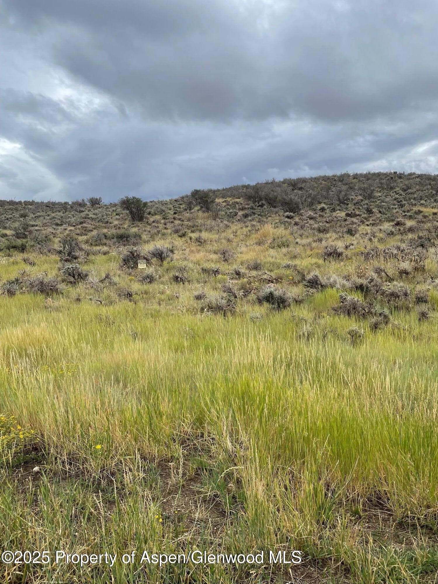 TBD Pine Ridge Trail, Craig, CO 81625 - Photo 4