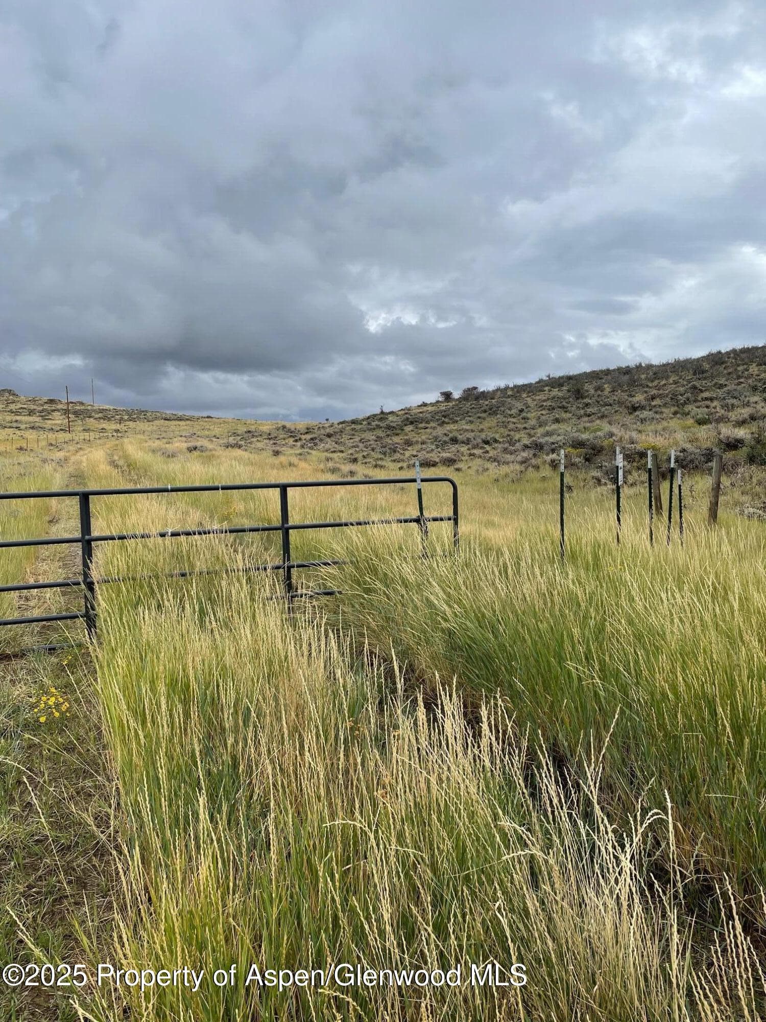 TBD Pine Ridge Trail, Craig, CO 81625 - Photo 3
